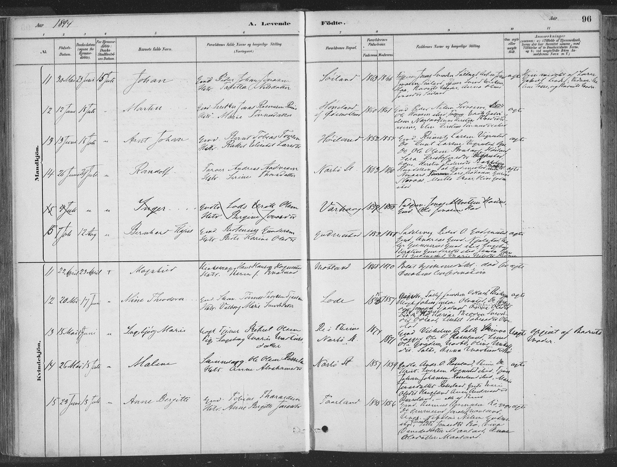 Hå sokneprestkontor, SAST/A-101801/001/30BA/L0010: Parish register (official) no. A 9, 1879-1896, p. 96