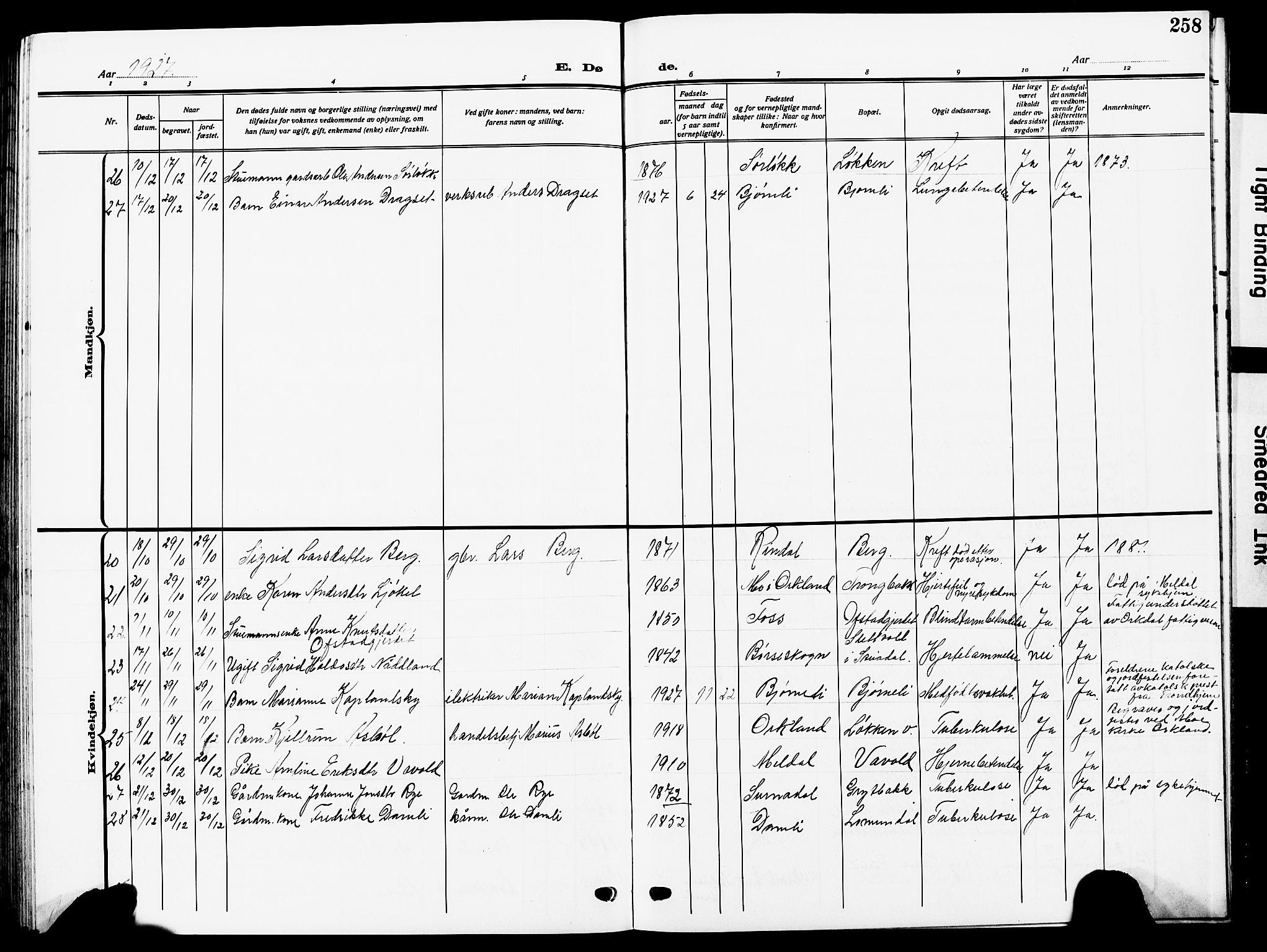 Ministerialprotokoller, klokkerbøker og fødselsregistre - Sør-Trøndelag, SAT/A-1456/672/L0865: Parish register (copy) no. 672C04, 1914-1928, p. 258