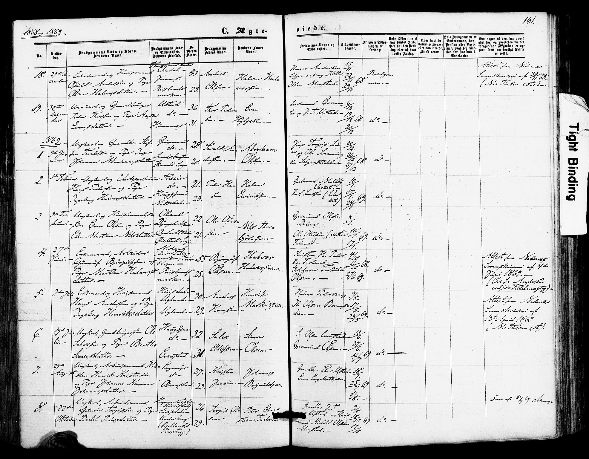 Froland sokneprestkontor, AV/SAK-1111-0013/F/Fa/L0003: Parish register (official) no. A 3, 1864-1881, p. 161