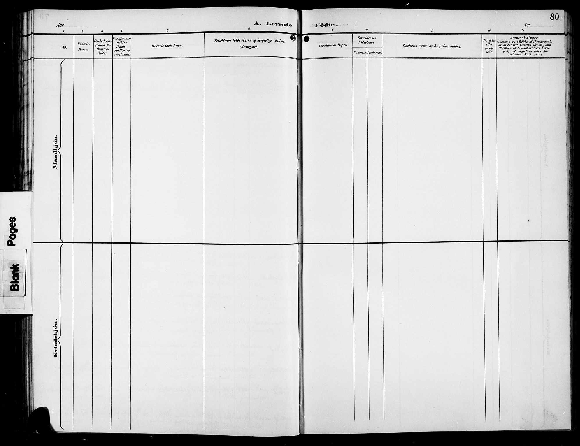 Sør-Aurdal prestekontor, AV/SAH-PREST-128/H/Ha/Hab/L0009: Parish register (copy) no. 9, 1894-1924, p. 80