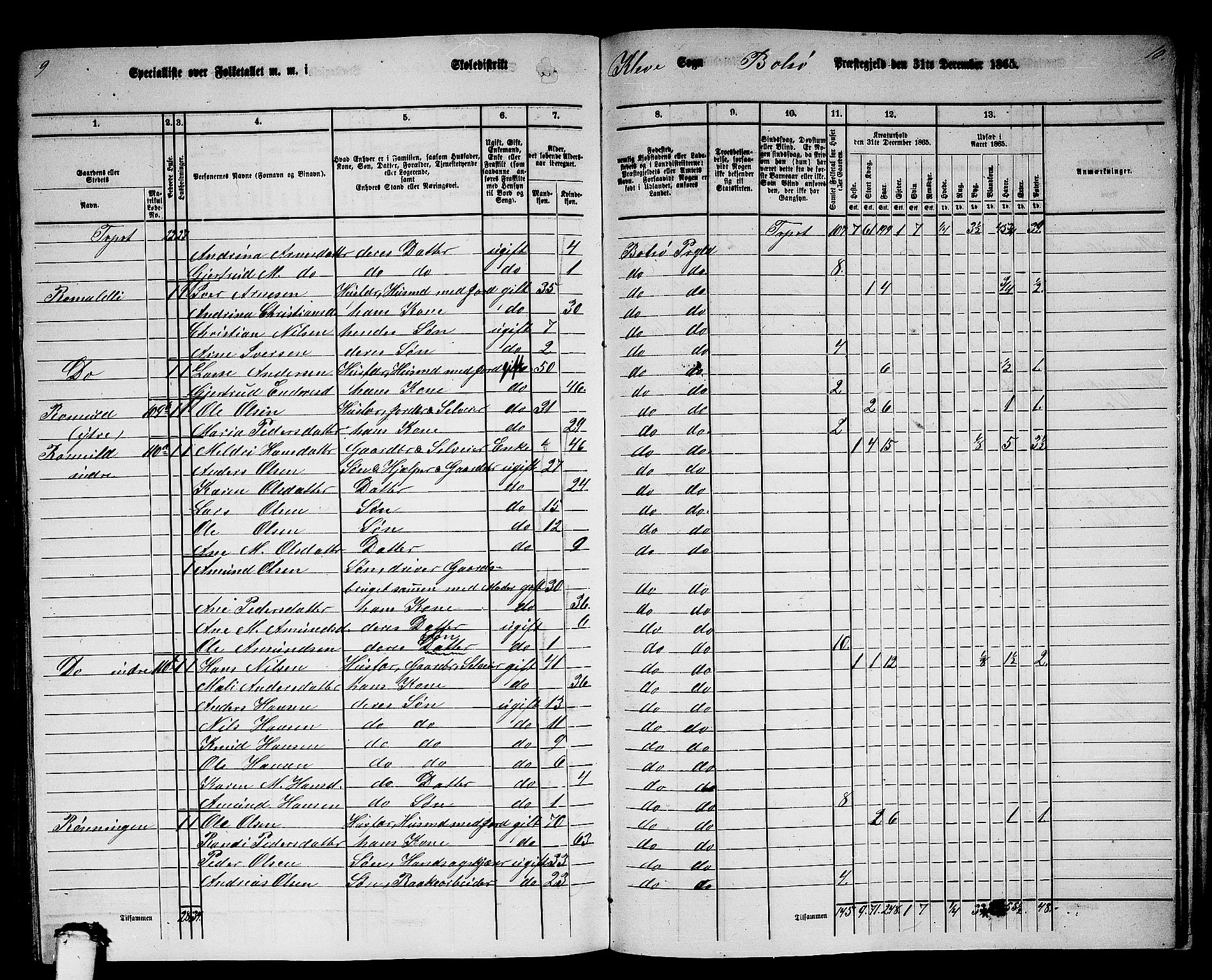 RA, 1865 census for Bolsøy, 1865, p. 102