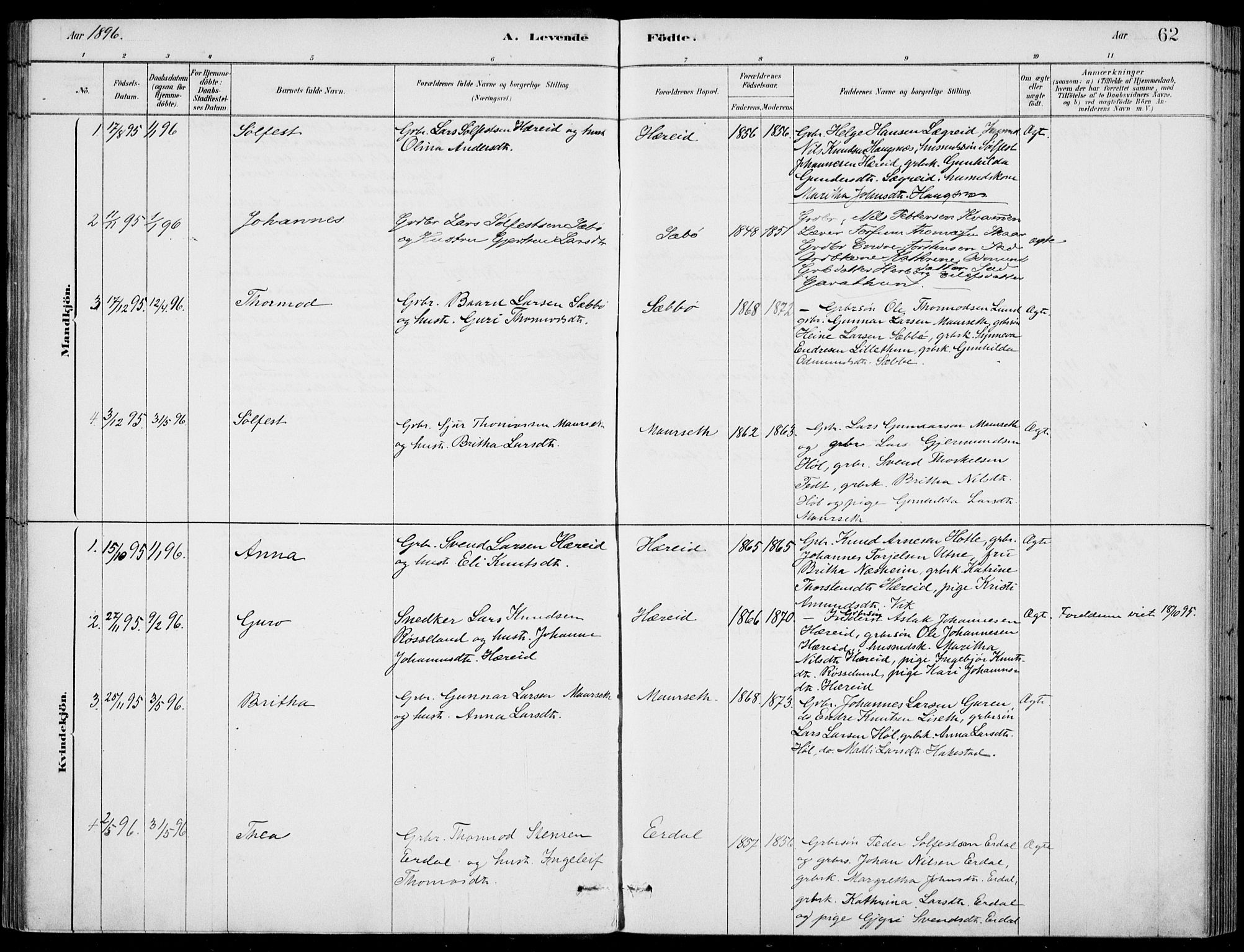 Ulvik sokneprestembete, AV/SAB-A-78801/H/Haa: Parish register (official) no. D  1, 1878-1903, p. 62