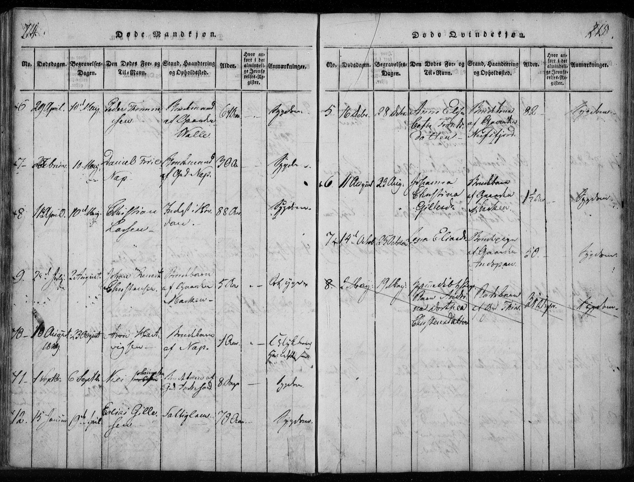 Ministerialprotokoller, klokkerbøker og fødselsregistre - Nordland, AV/SAT-A-1459/885/L1201: Parish register (official) no. 885A02, 1820-1837, p. 214-215