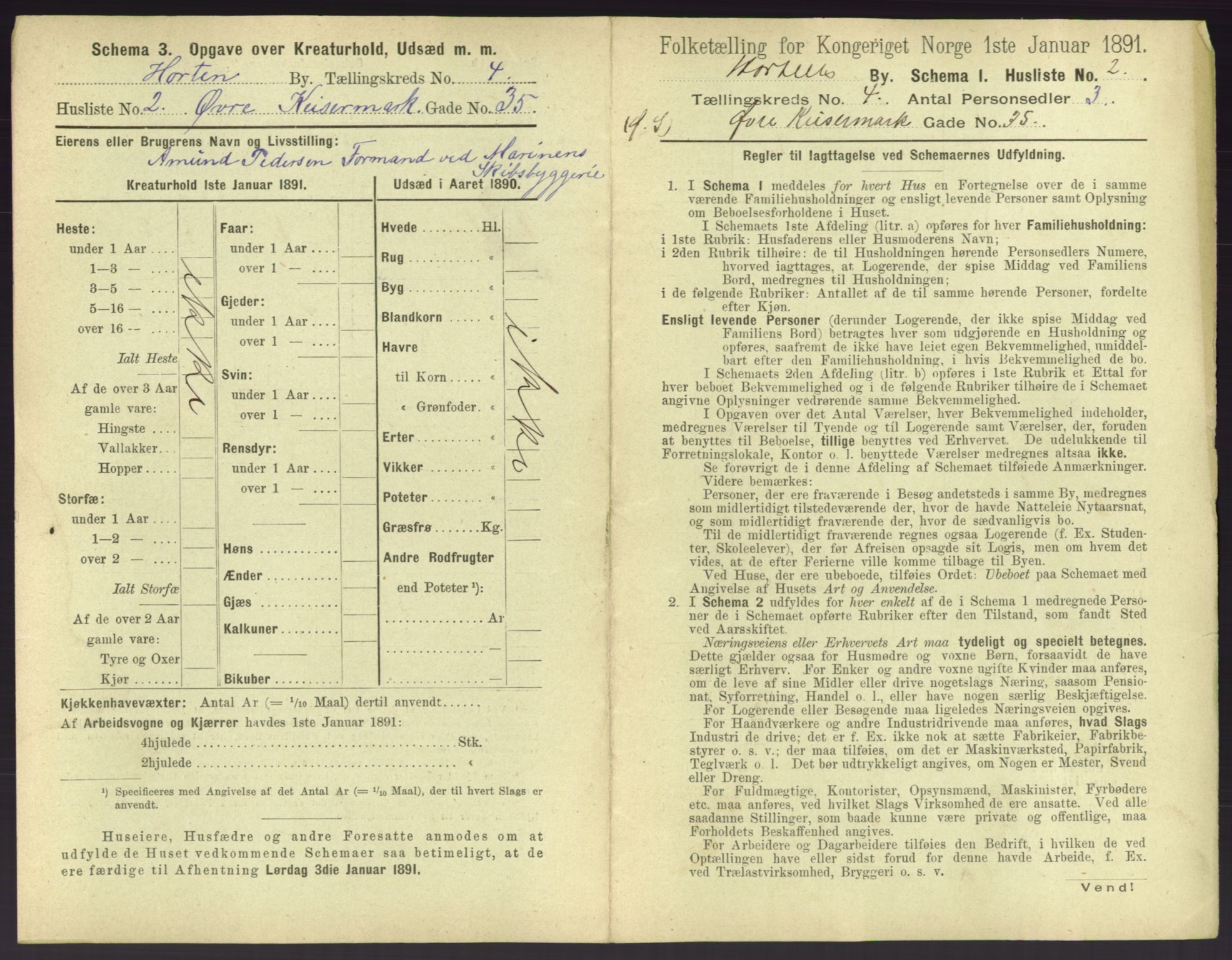 RA, 1891 census for 0703 Horten, 1891, p. 399