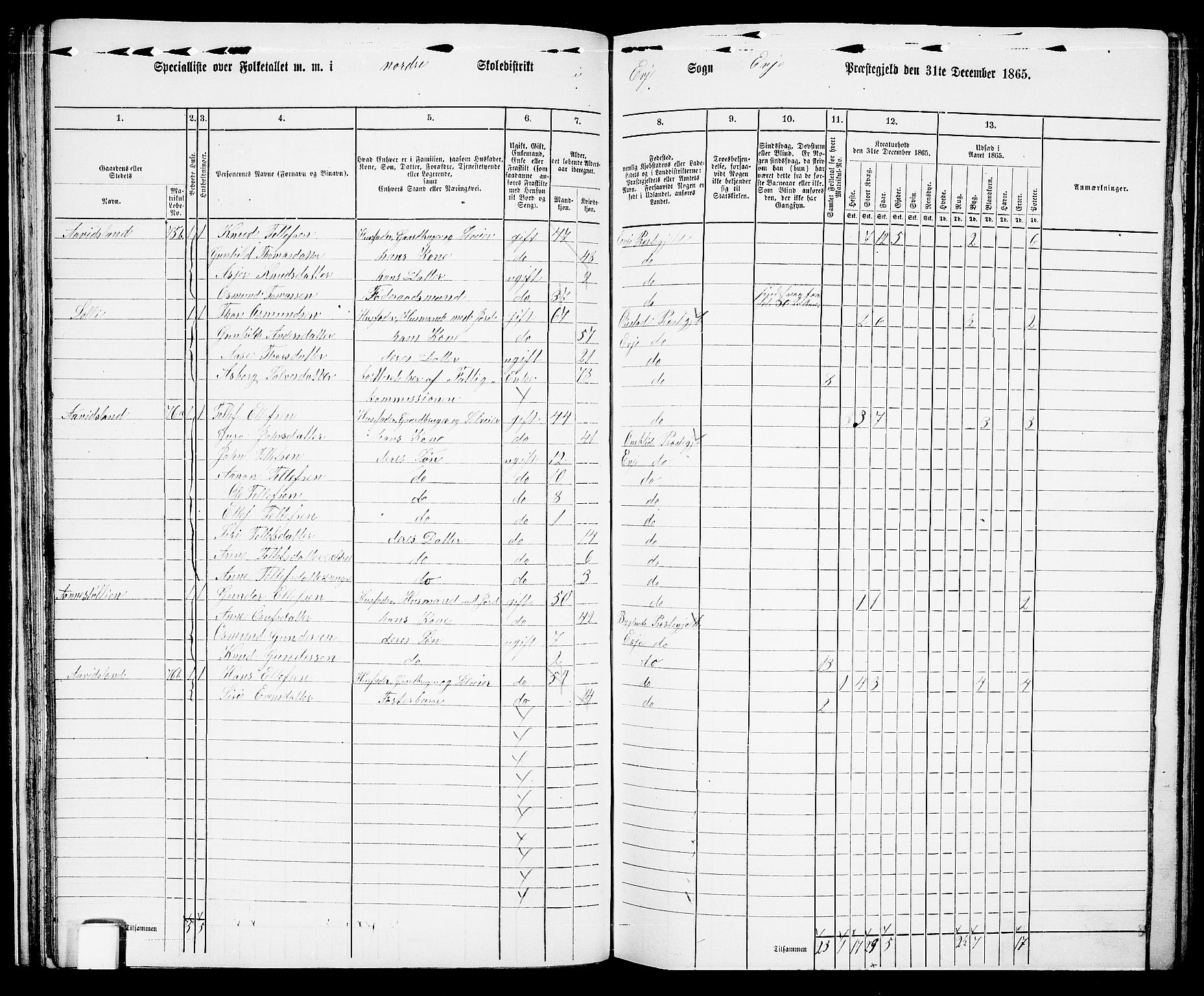 RA, 1865 census for Evje, 1865, p. 38