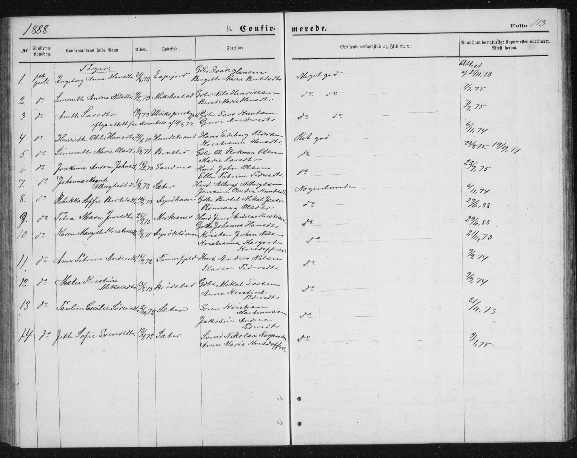 Tranøy sokneprestkontor, AV/SATØ-S-1313/I/Ia/Iab/L0013klokker: Parish register (copy) no. 13, 1874-1896, p. 113