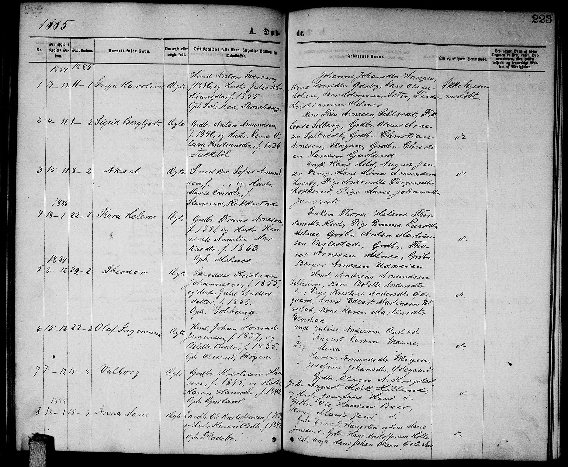 Enebakk prestekontor Kirkebøker, SAO/A-10171c/G/Ga/L0005: Parish register (copy) no. I 5, 1867-1888, p. 223