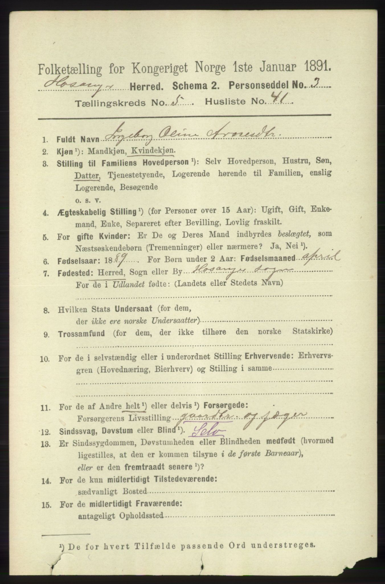 RA, 1891 census for 1253 Hosanger, 1891, p. 2080