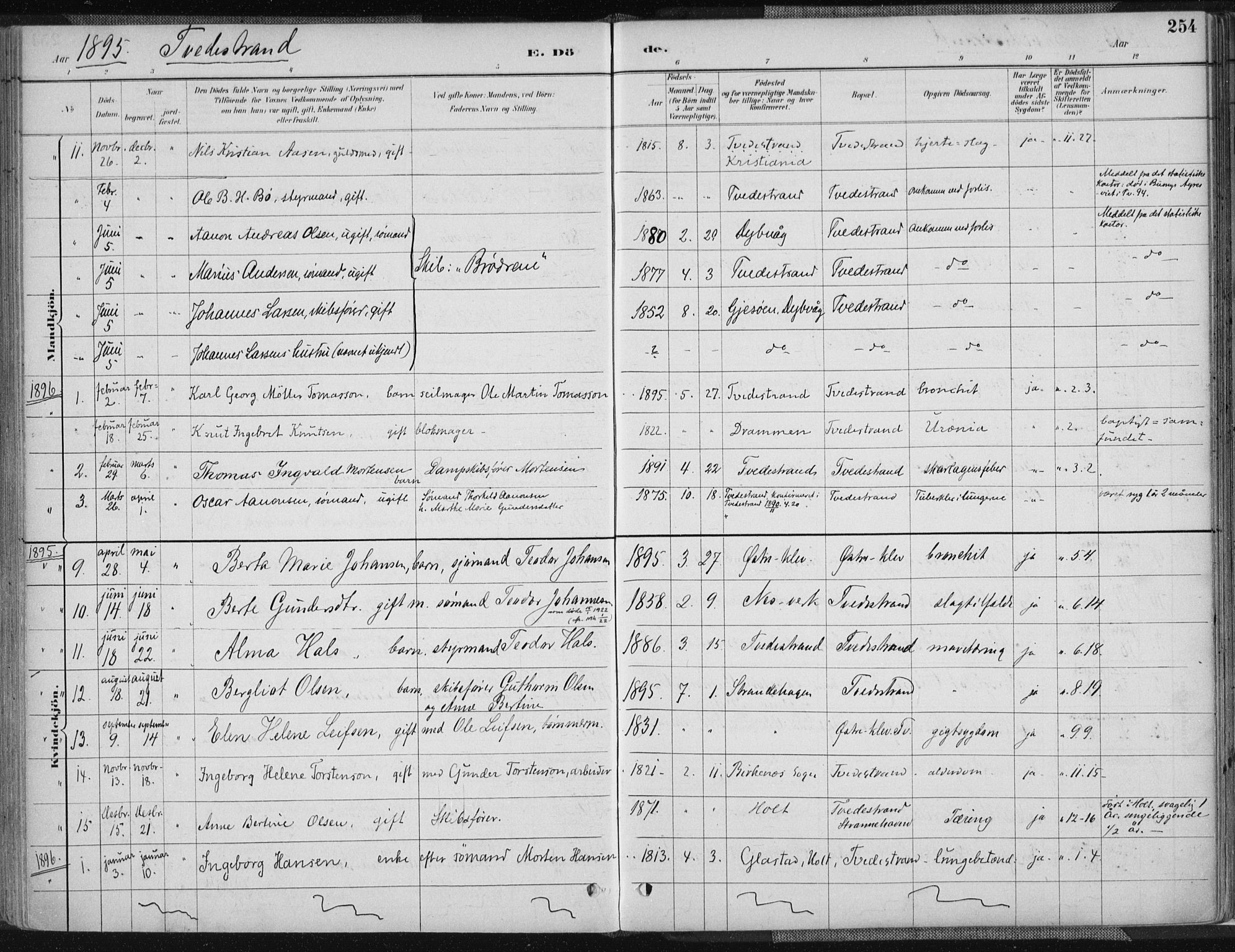 Tvedestrand sokneprestkontor, SAK/1111-0042/F/Fa/L0001: Parish register (official) no. A 1, 1885-1916, p. 254