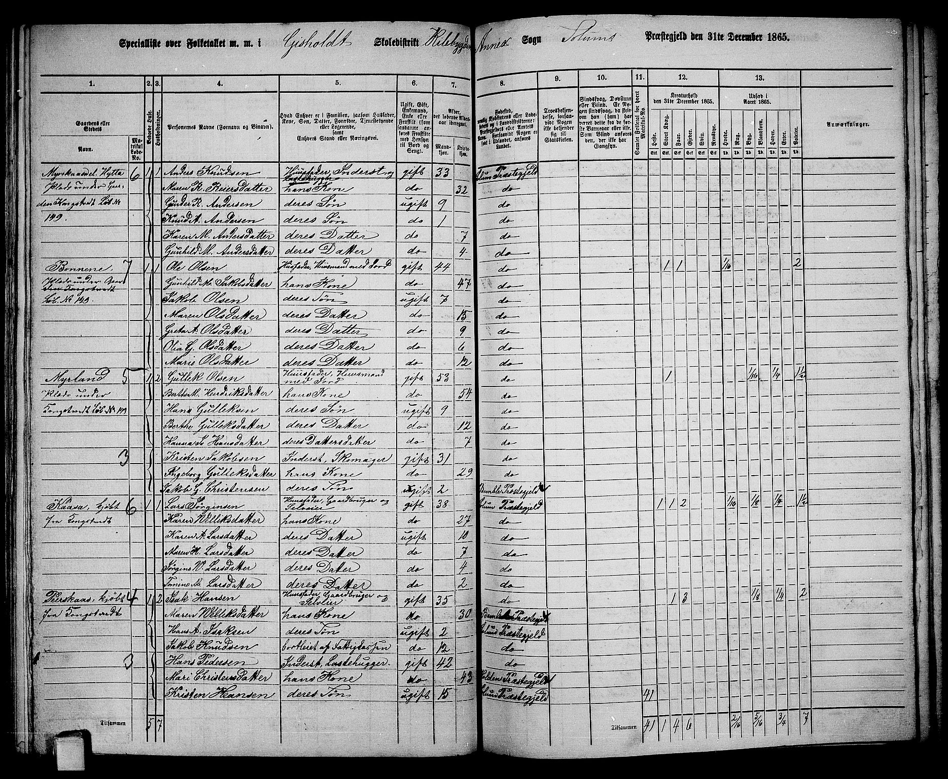 RA, 1865 census for Solum, 1865, p. 152