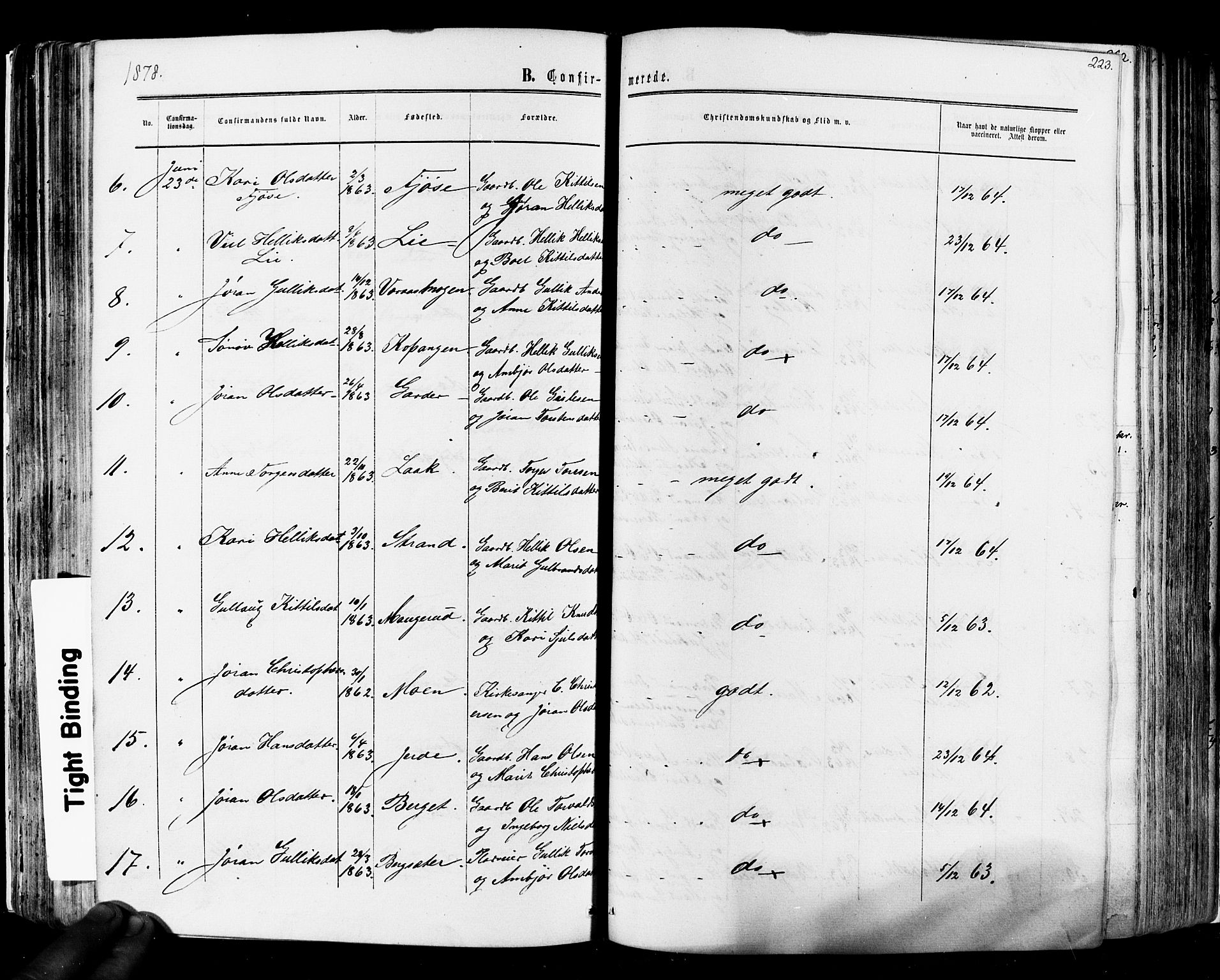 Flesberg kirkebøker, SAKO/A-18/F/Fa/L0007: Parish register (official) no. I 7, 1861-1878, p. 223