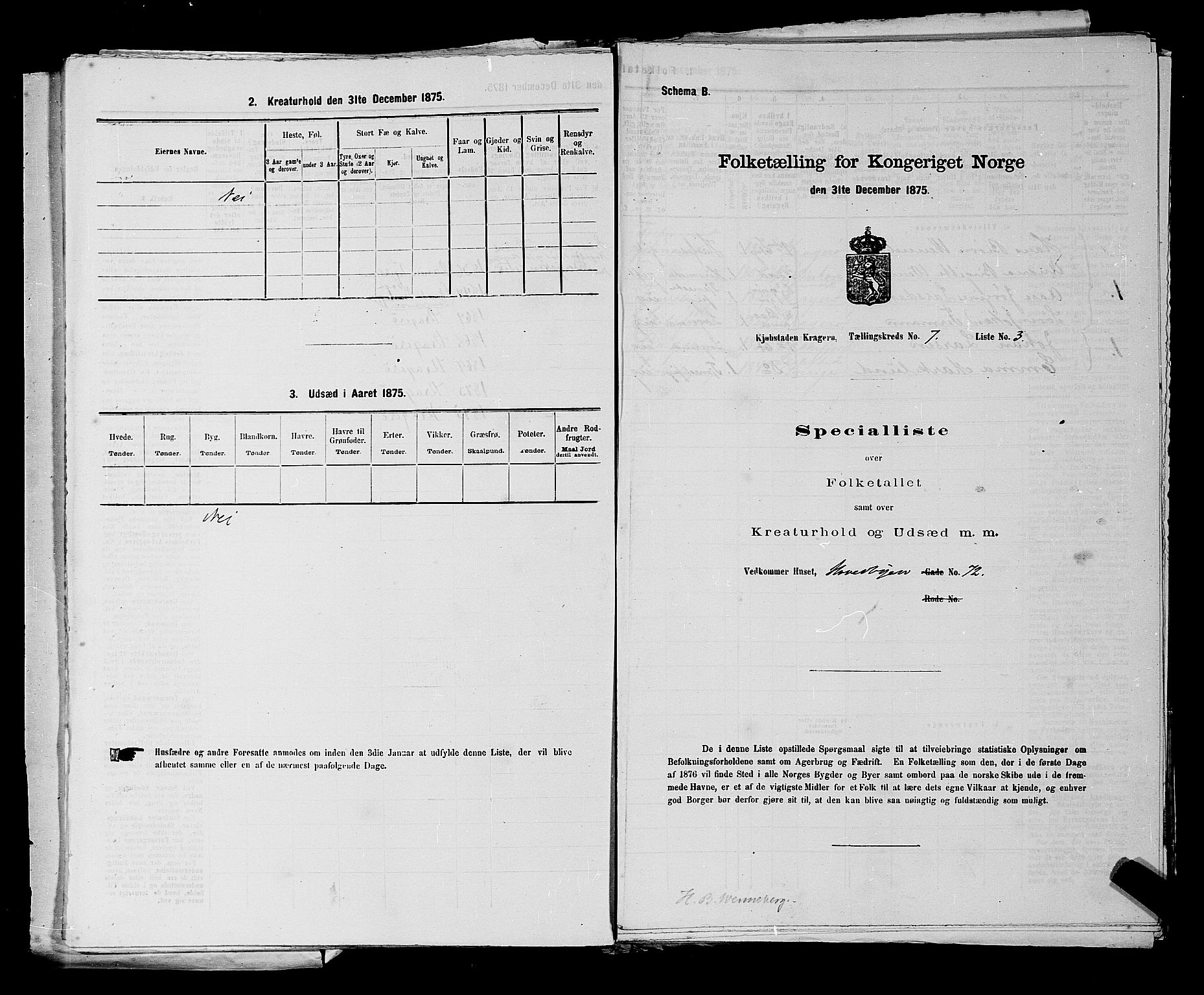 SAKO, 1875 census for 0801P Kragerø, 1875, p. 152