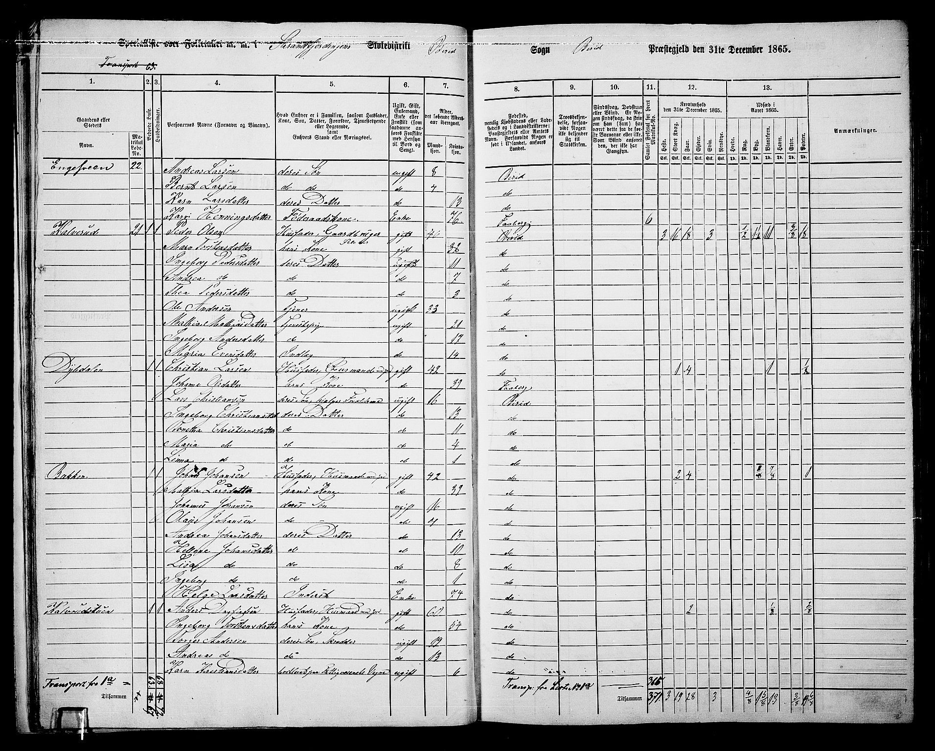 RA, 1865 census for Biri, 1865, p. 25