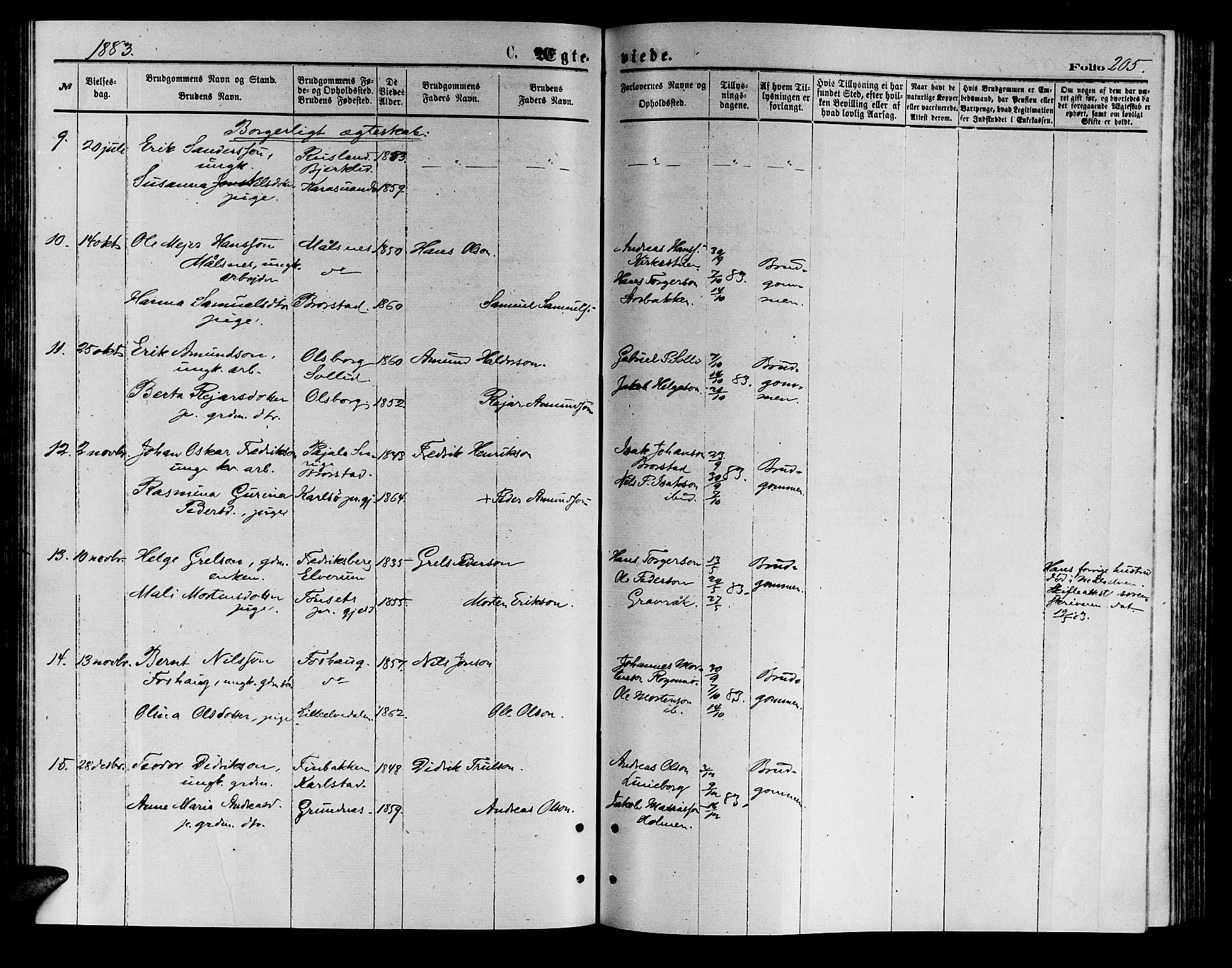 Målselv sokneprestembete, AV/SATØ-S-1311/G/Ga/Gab/L0003klokker: Parish register (copy) no. 3, 1874-1885, p. 205