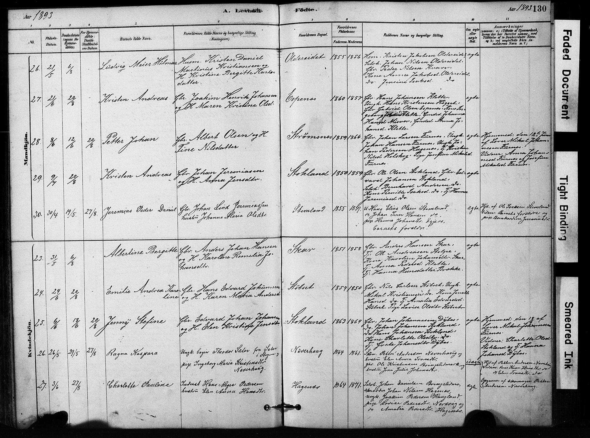 Ministerialprotokoller, klokkerbøker og fødselsregistre - Nordland, AV/SAT-A-1459/852/L0754: Parish register (copy) no. 852C05, 1878-1894, p. 130