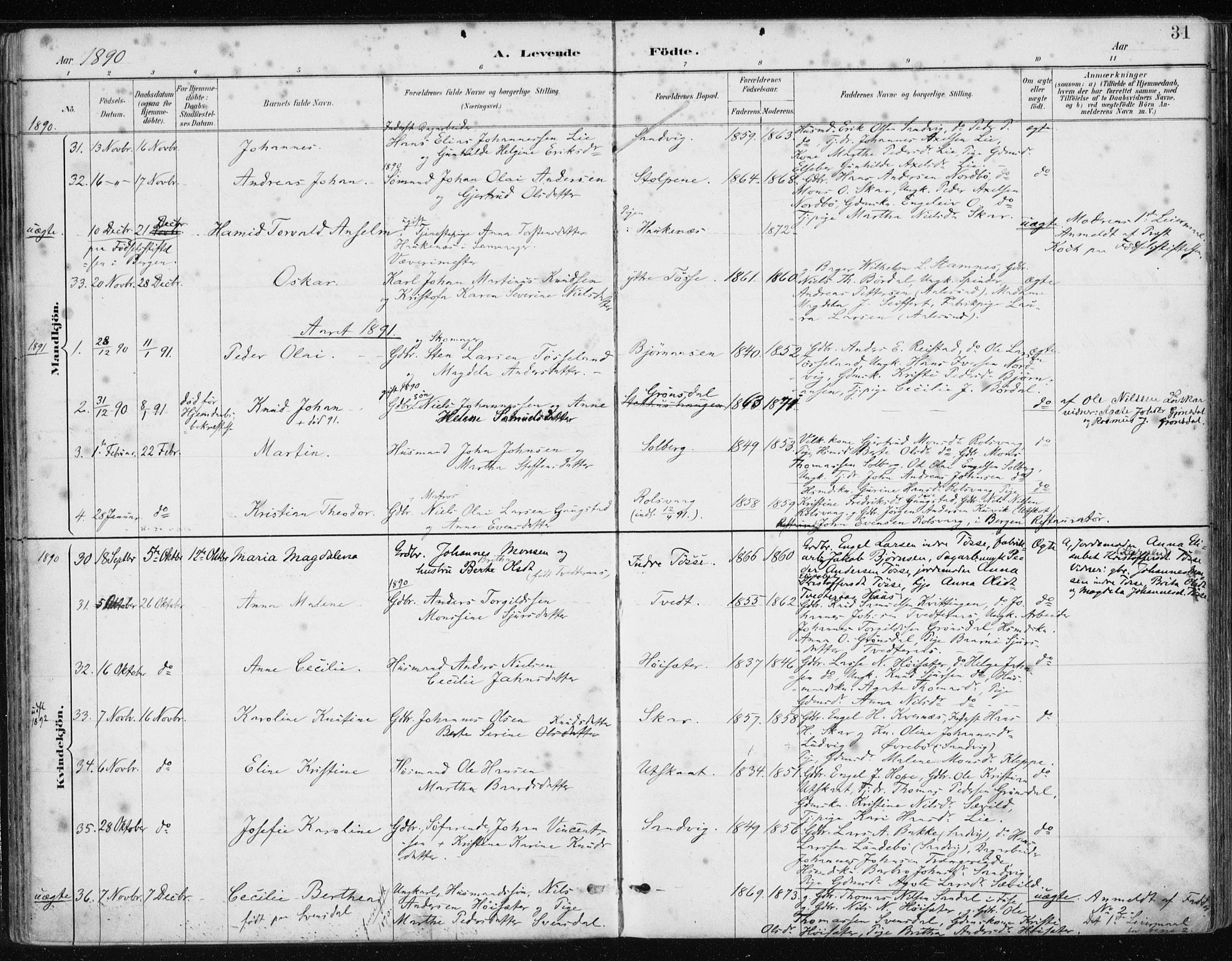 Samnanger Sokneprestembete, AV/SAB-A-77501/H/Haa: Parish register (official) no. A 1, 1885-1901, p. 31