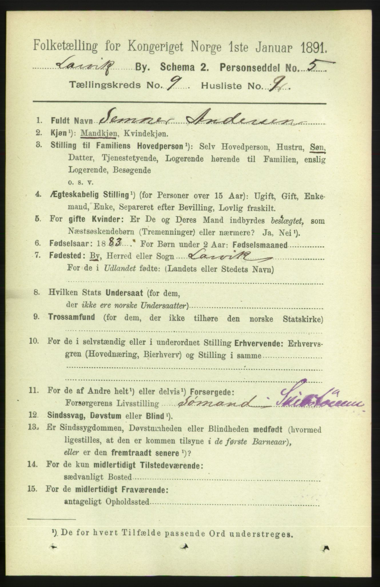 RA, 1891 census for 0707 Larvik, 1891, p. 8501