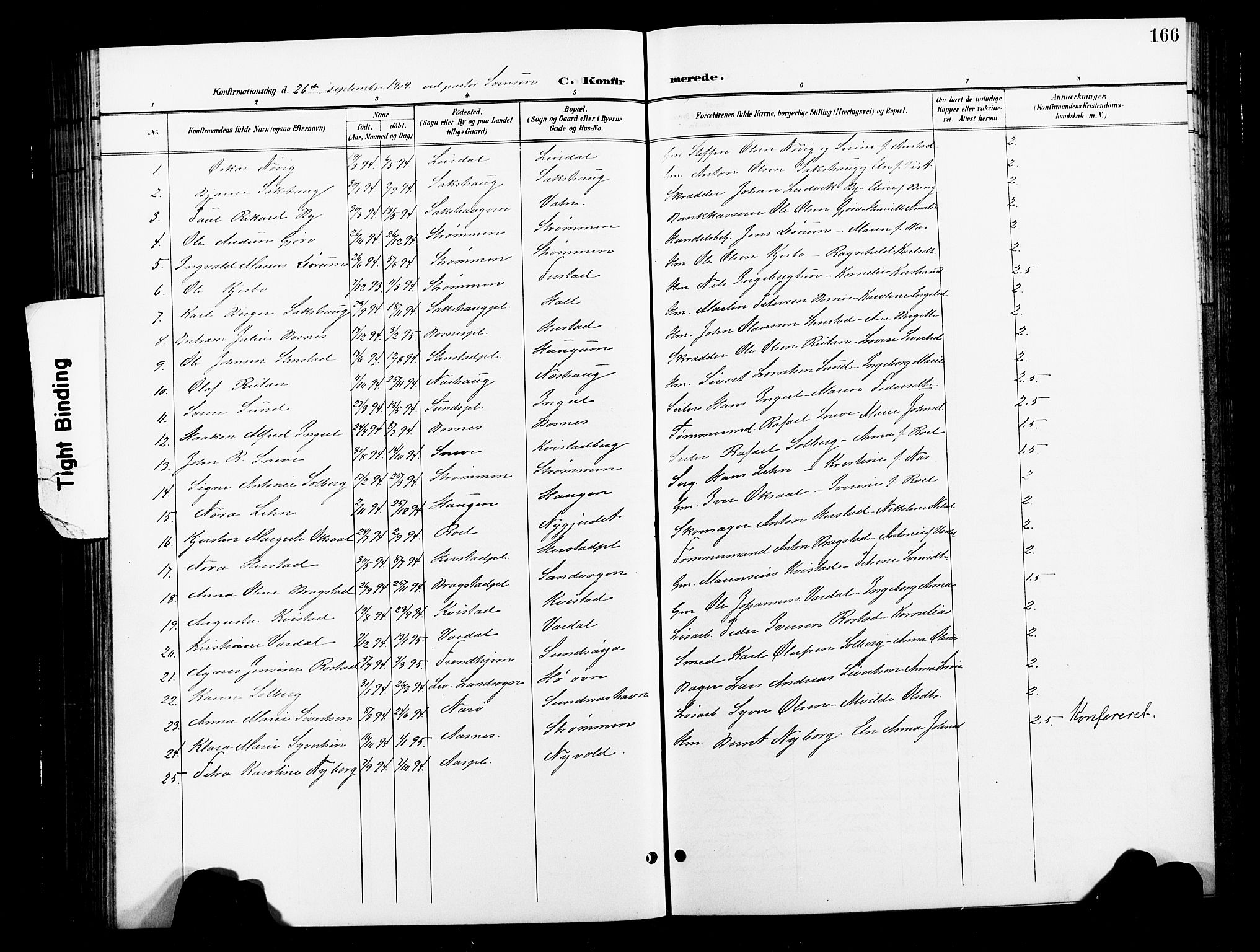 Ministerialprotokoller, klokkerbøker og fødselsregistre - Nord-Trøndelag, SAT/A-1458/730/L0302: Parish register (copy) no. 730C05, 1898-1924, p. 166