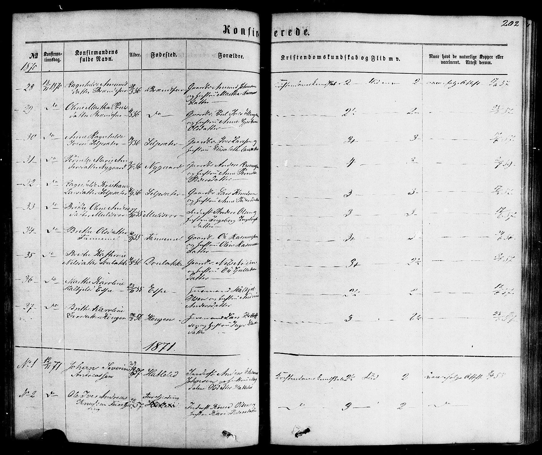 Hornindal sokneprestembete, AV/SAB-A-82401/H/Haa/Haaa/L0002: Parish register (official) no. A 2, 1867-1884, p. 202