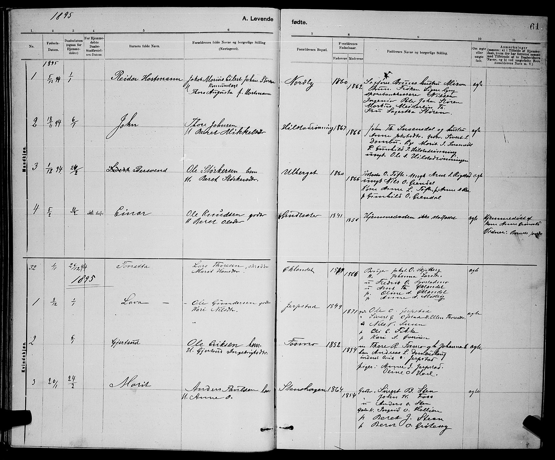 Ministerialprotokoller, klokkerbøker og fødselsregistre - Sør-Trøndelag, SAT/A-1456/672/L0863: Parish register (copy) no. 672C02, 1888-1901, p. 61