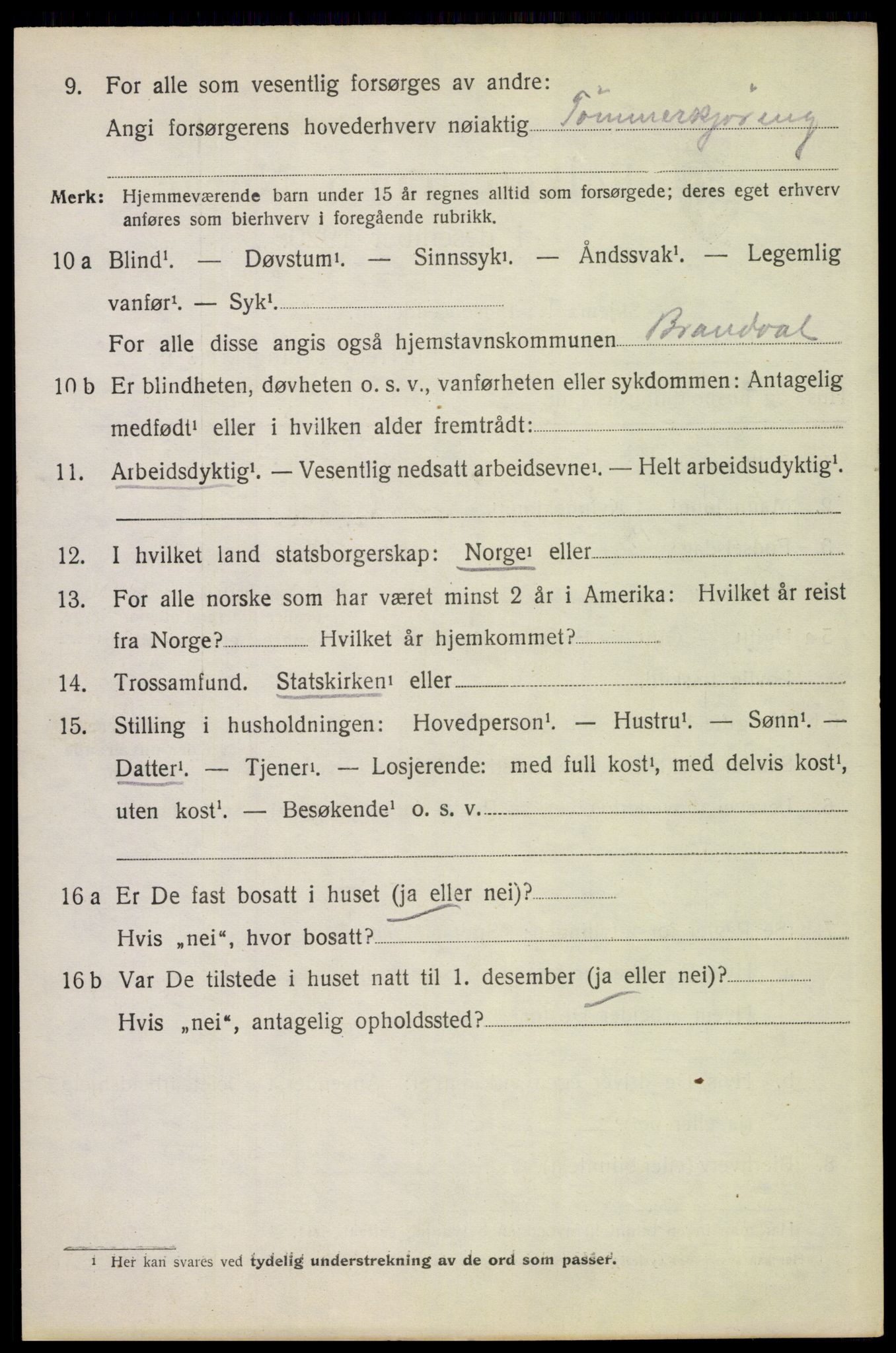 SAH, 1920 census for Brandval, 1920, p. 4253