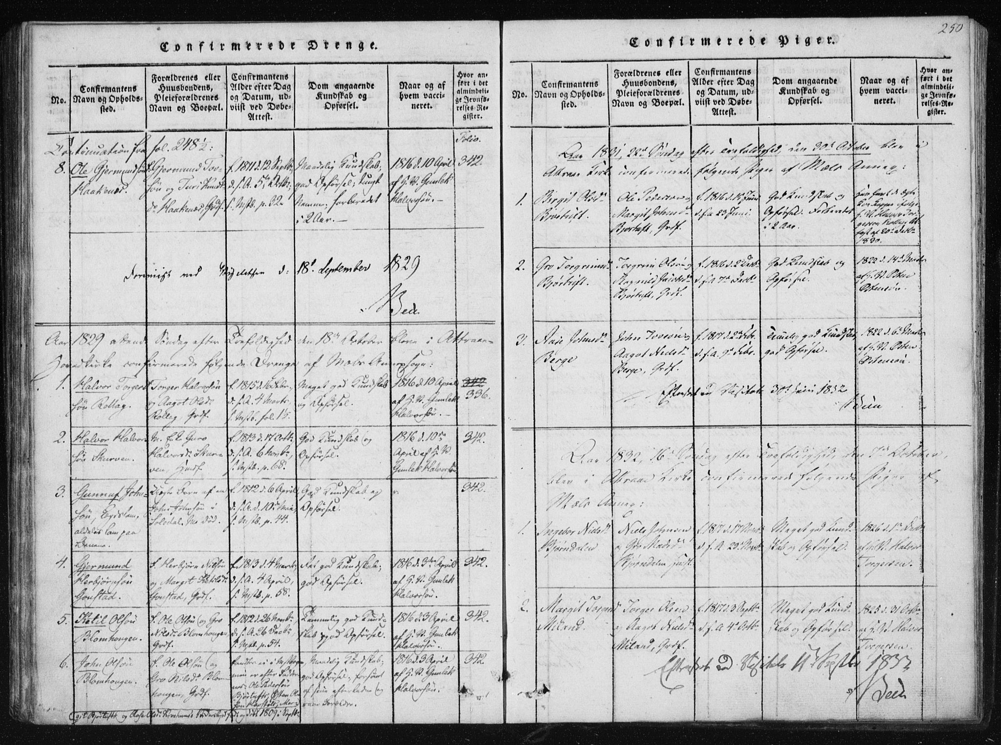 Tinn kirkebøker, SAKO/A-308/F/Fb/L0001: Parish register (official) no. II 1, 1815-1843, p. 250