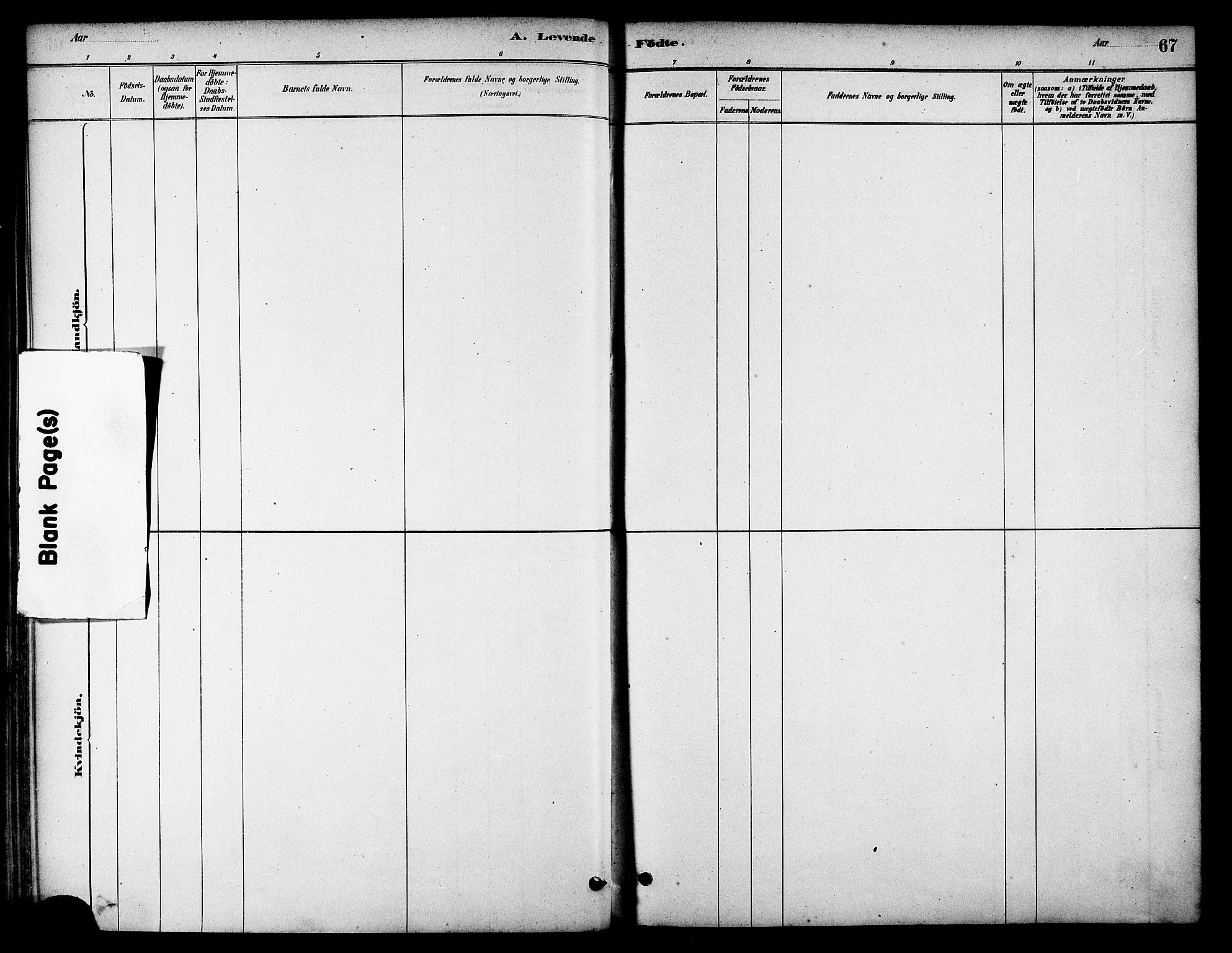 Ministerialprotokoller, klokkerbøker og fødselsregistre - Nordland, SAT/A-1459/801/L0030: Parish register (copy) no. 801C05, 1879-1887, p. 67