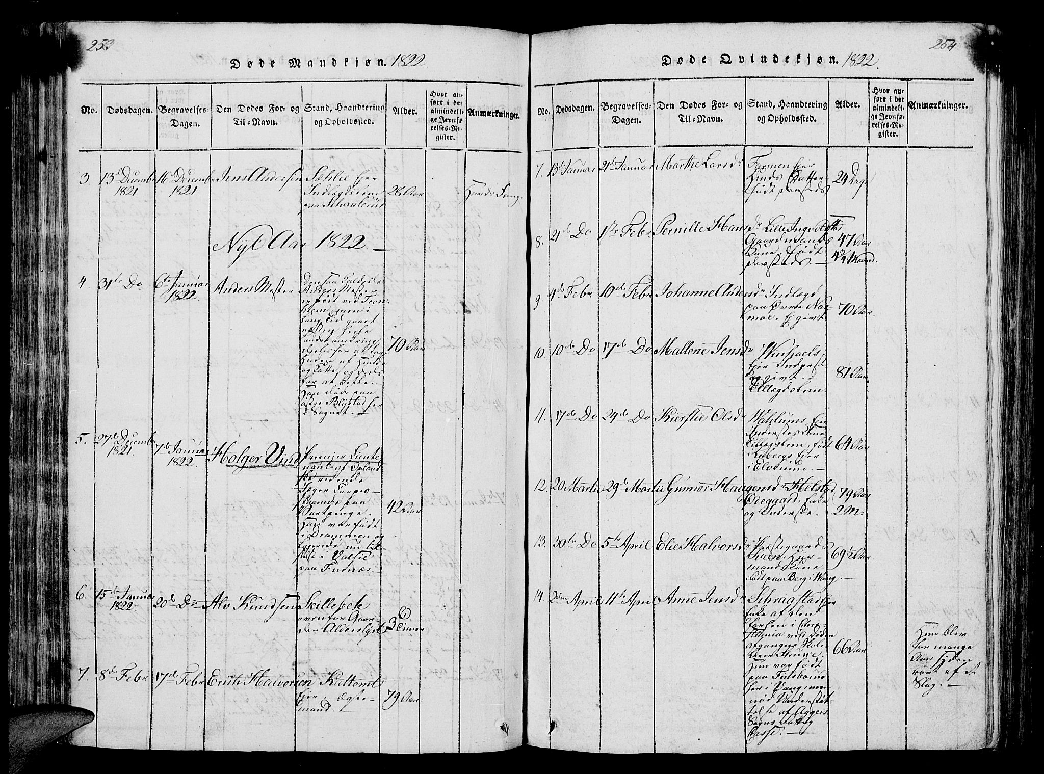 Vang prestekontor, Hedmark, SAH/PREST-008/H/Ha/Hab/L0004: Parish register (copy) no. 4, 1813-1827, p. 253-254