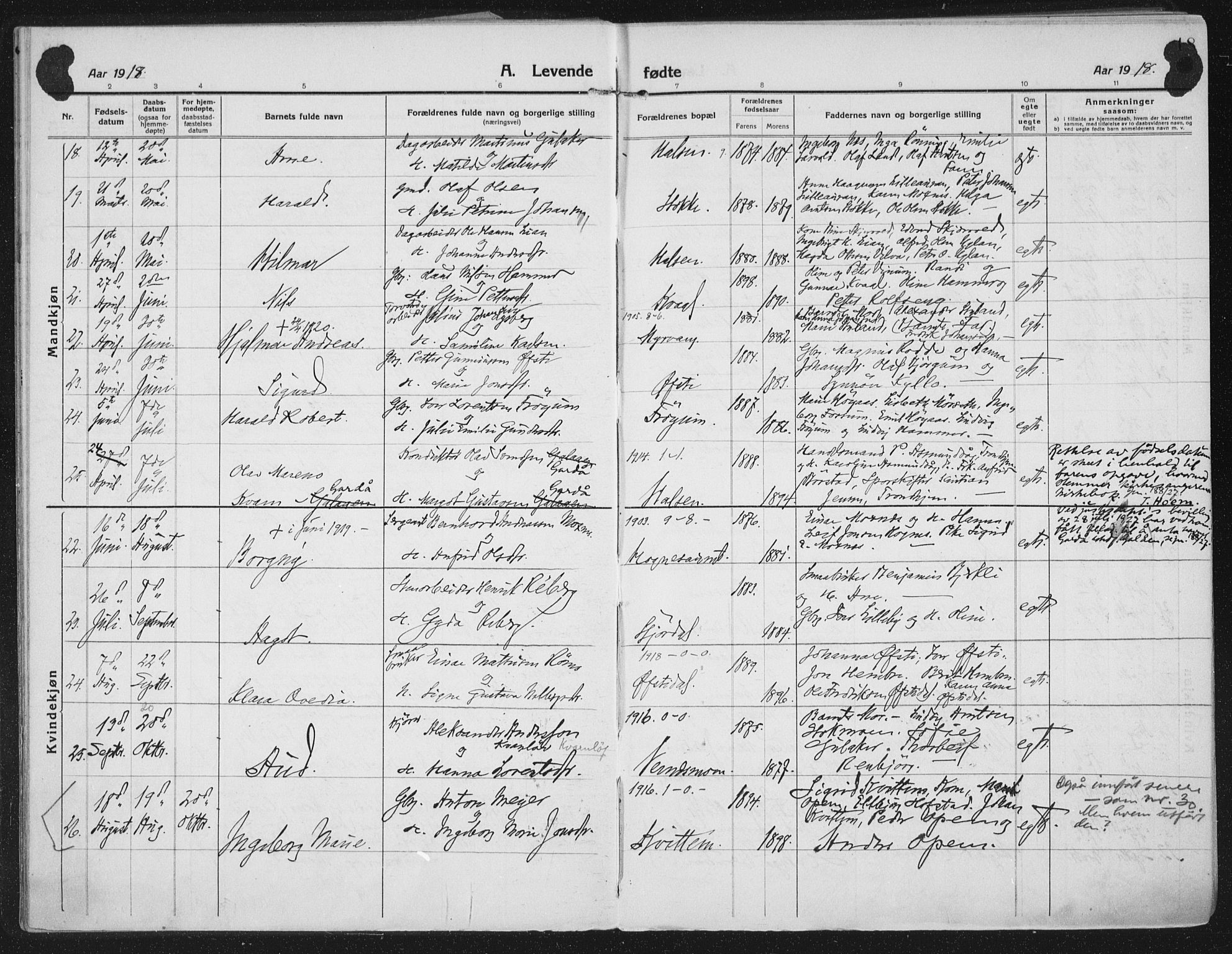 Ministerialprotokoller, klokkerbøker og fødselsregistre - Nord-Trøndelag, AV/SAT-A-1458/709/L0083: Parish register (official) no. 709A23, 1916-1928, p. 18