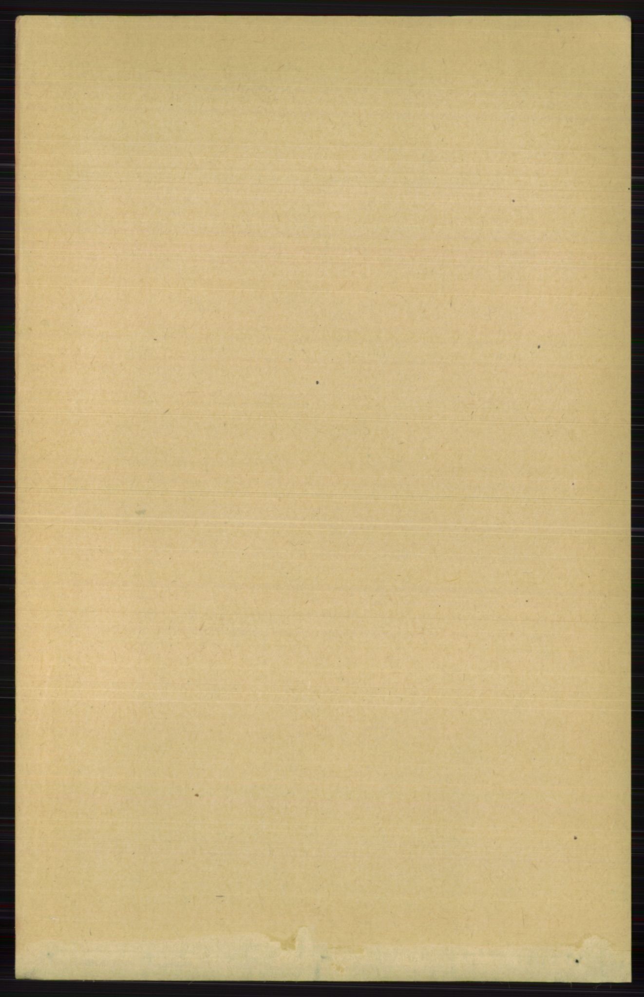 RA, 1891 census for 0616 Nes, 1891, p. 176