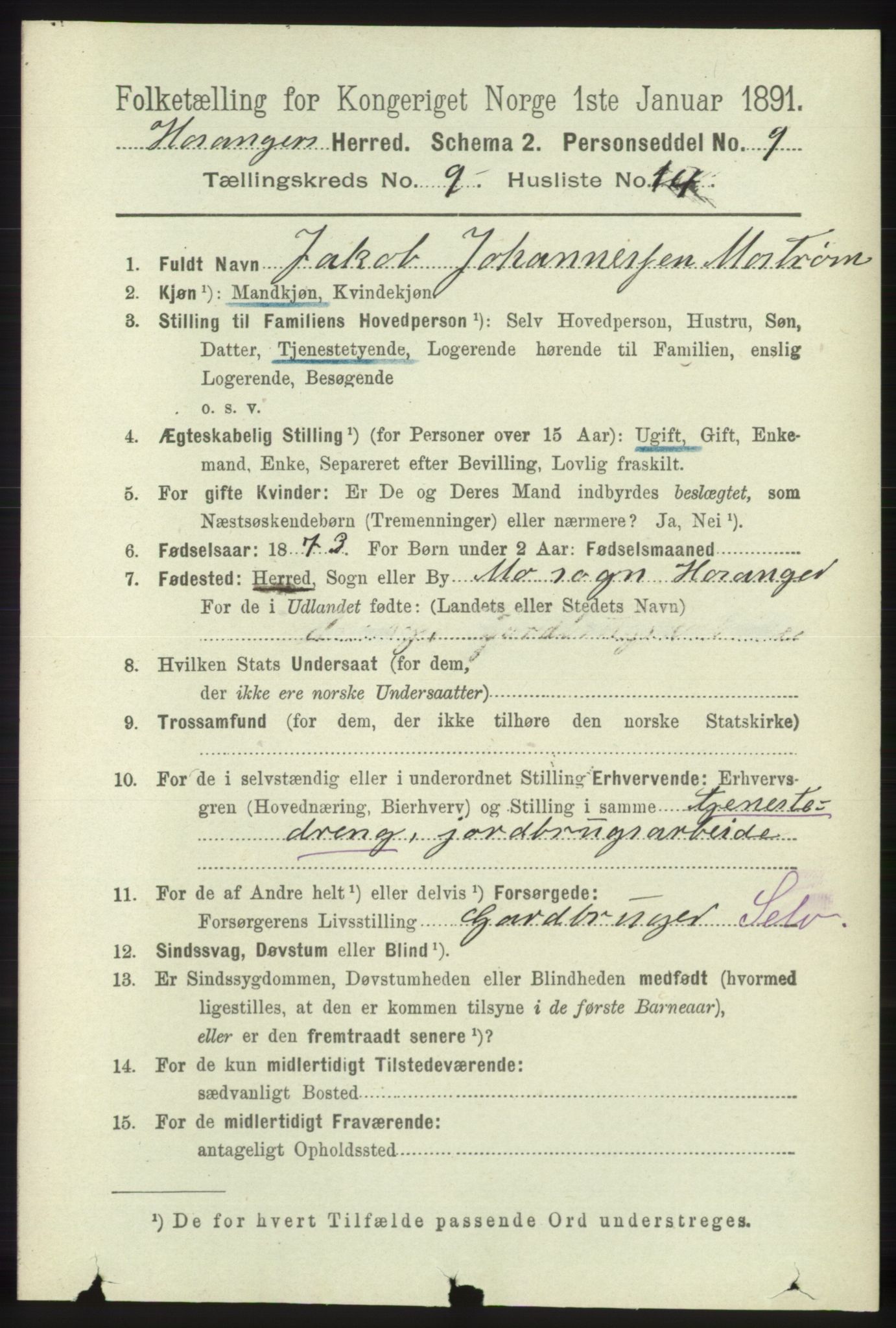 RA, 1891 census for 1253 Hosanger, 1891, p. 3380