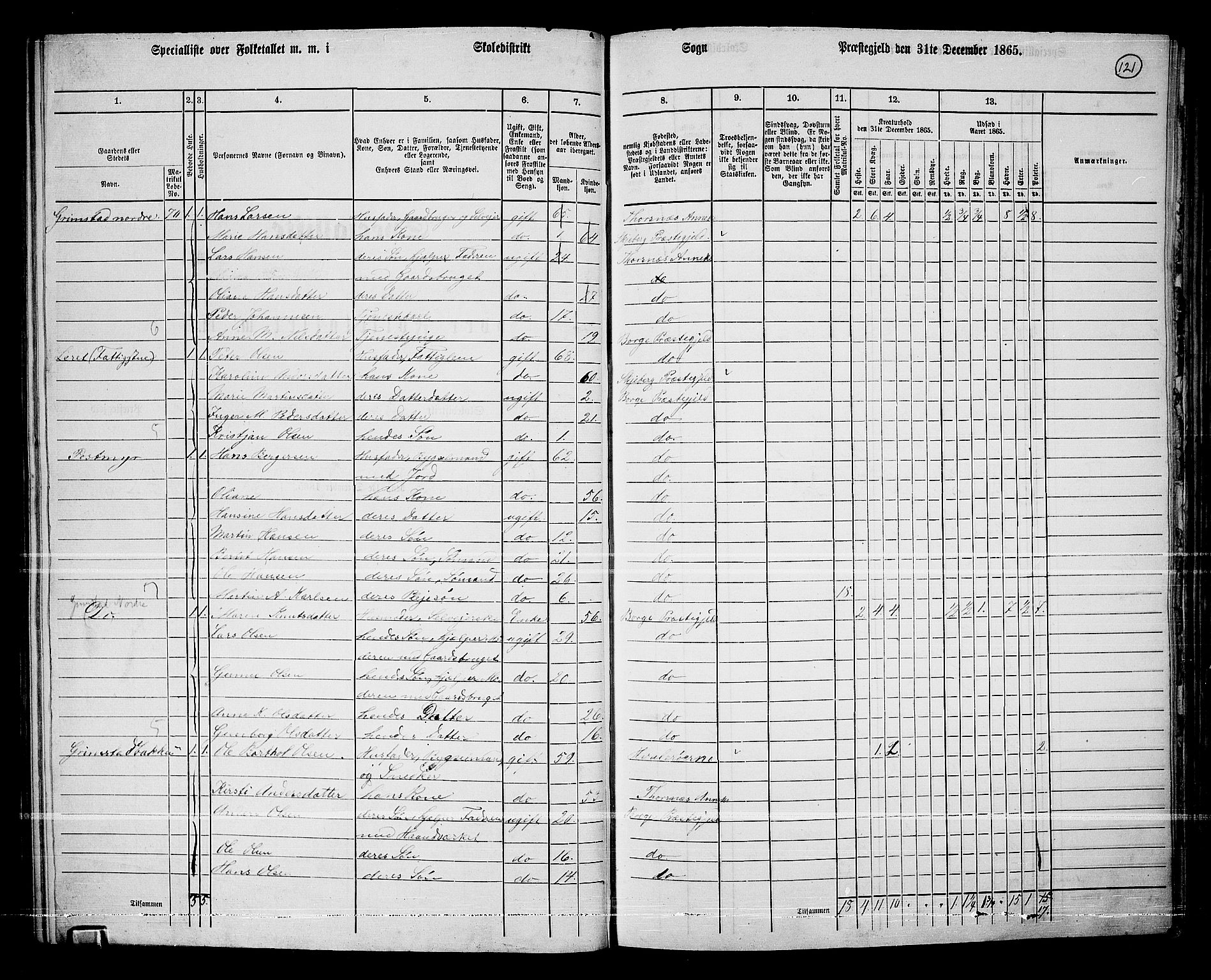 RA, 1865 census for Borge, 1865, p. 110