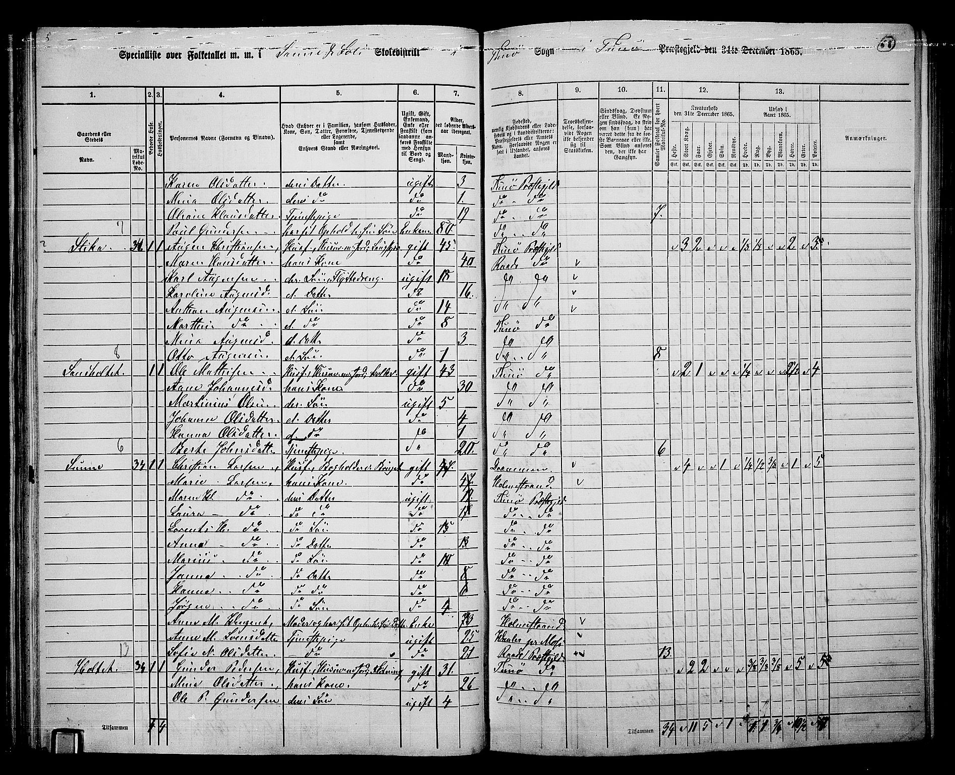 RA, 1865 census for Tune, 1865, p. 64