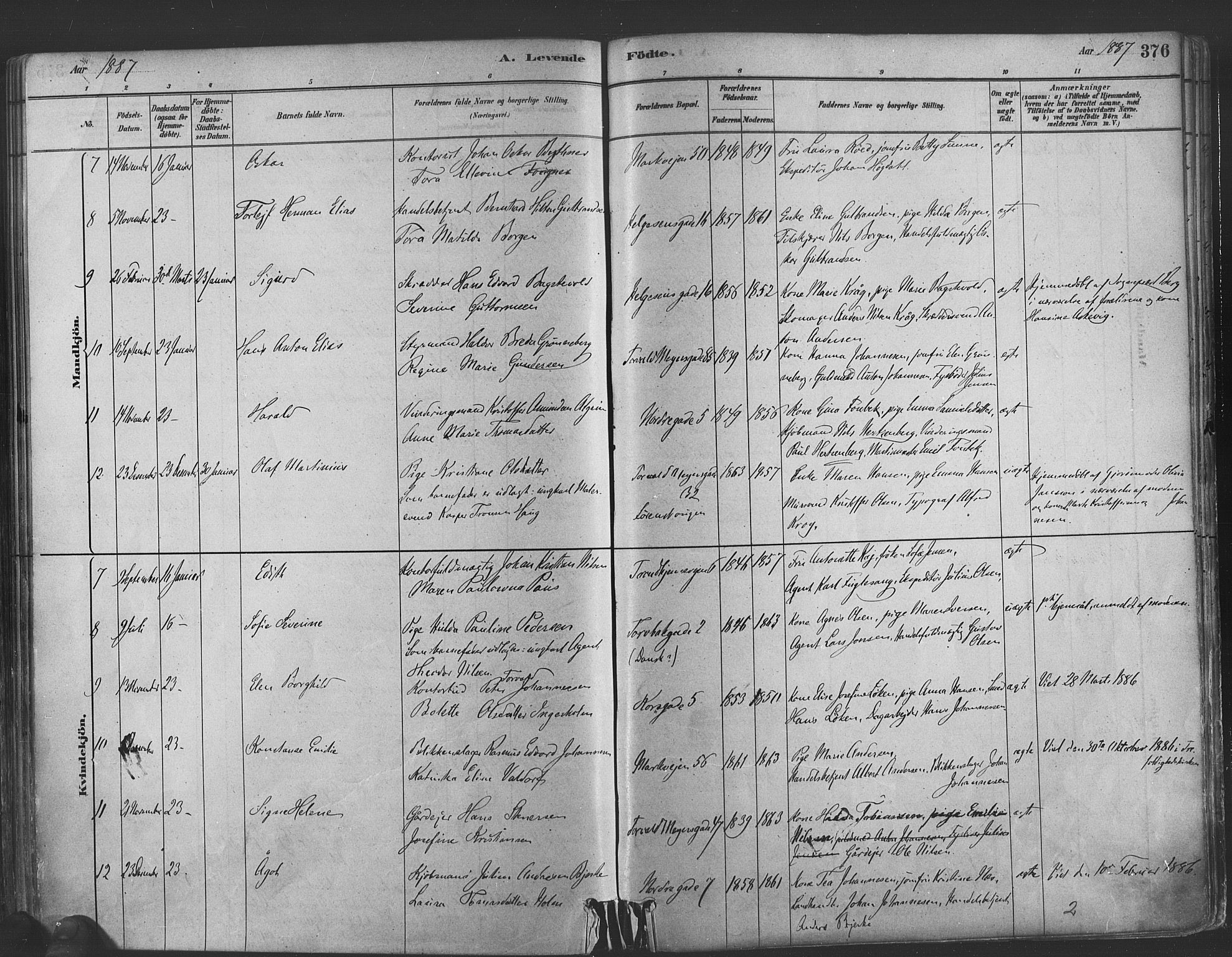 Paulus prestekontor Kirkebøker, AV/SAO-A-10871/F/Fa/L0003: Parish register (official) no. 3, 1879-1887, p. 376