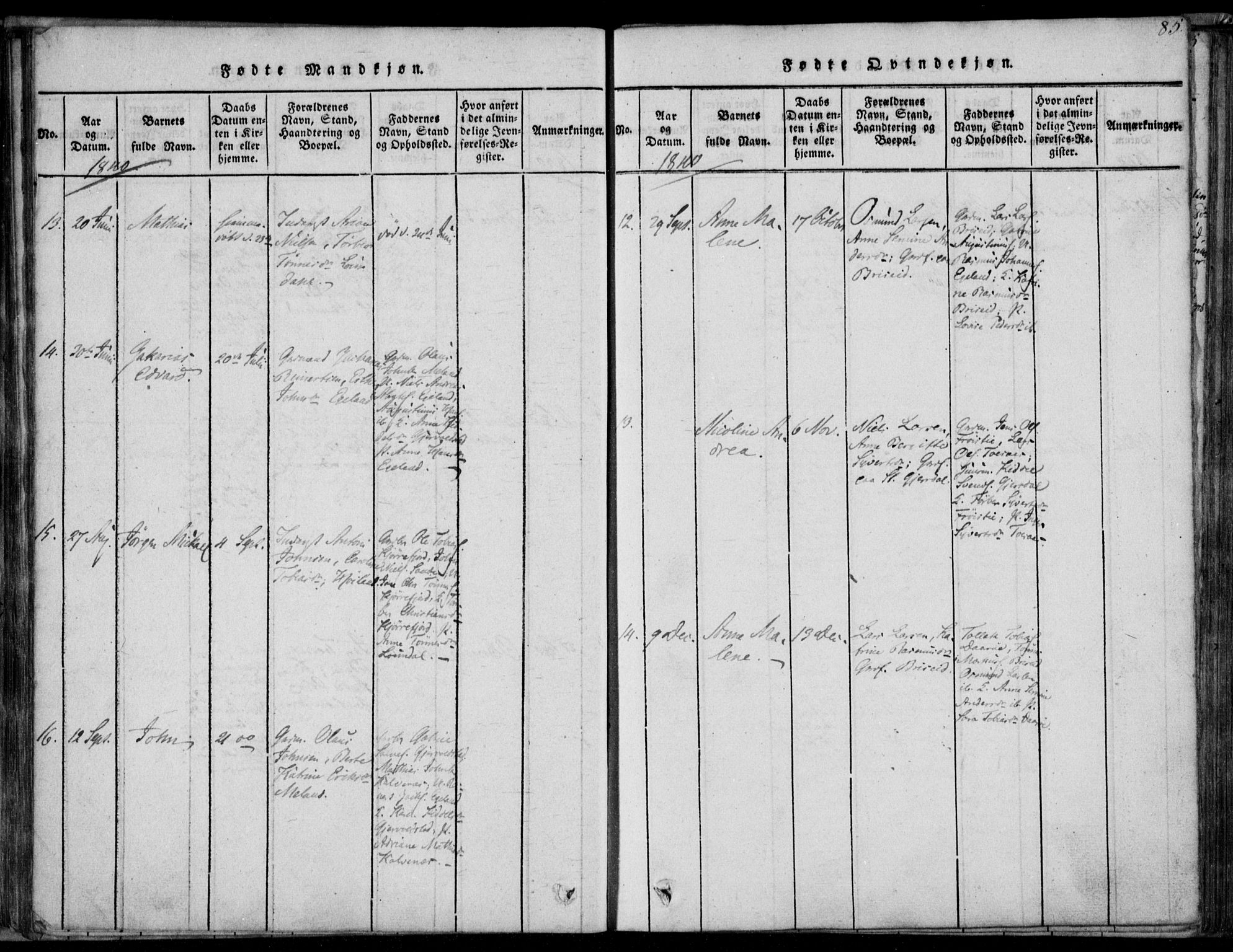 Herad sokneprestkontor, AV/SAK-1111-0018/F/Fa/Faa/L0003: Parish register (official) no. A 3, 1816-1844, p. 85