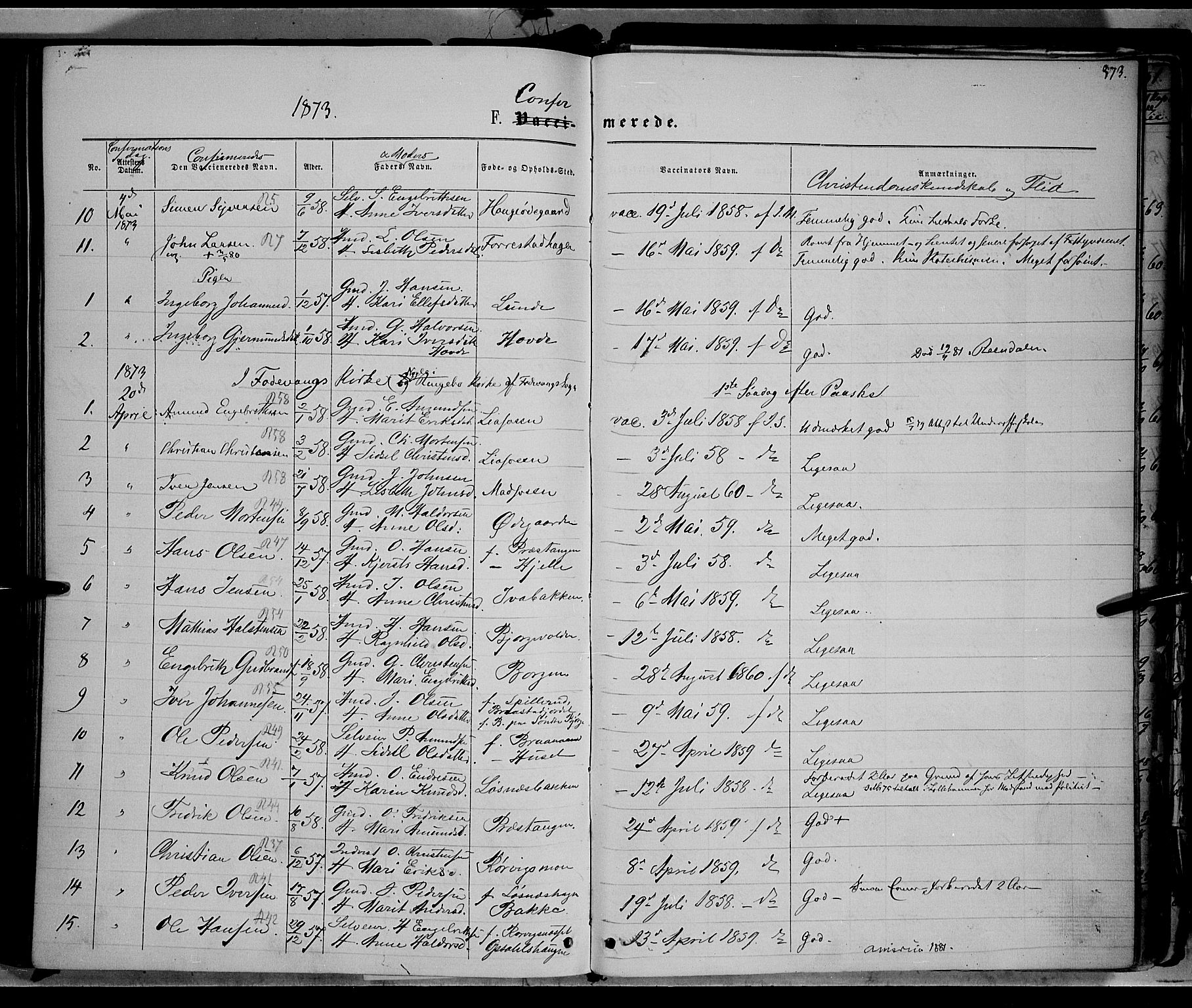 Ringebu prestekontor, SAH/PREST-082/H/Ha/Haa/L0007: Parish register (official) no. 7, 1860-1877, p. 373