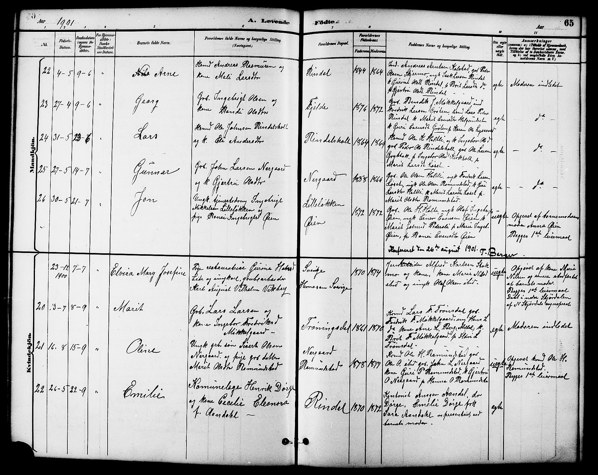 Ministerialprotokoller, klokkerbøker og fødselsregistre - Møre og Romsdal, SAT/A-1454/598/L1078: Parish register (copy) no. 598C03, 1892-1909, p. 65
