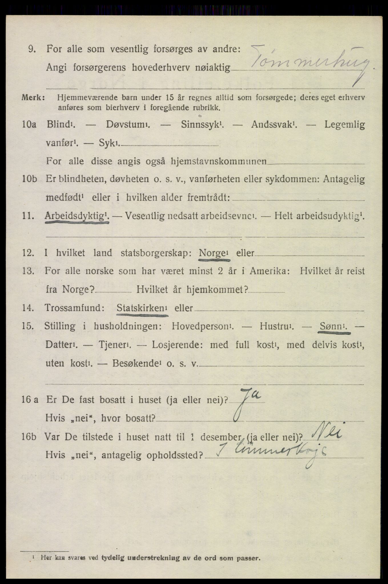 SAH, 1920 census for Trysil, 1920, p. 9496