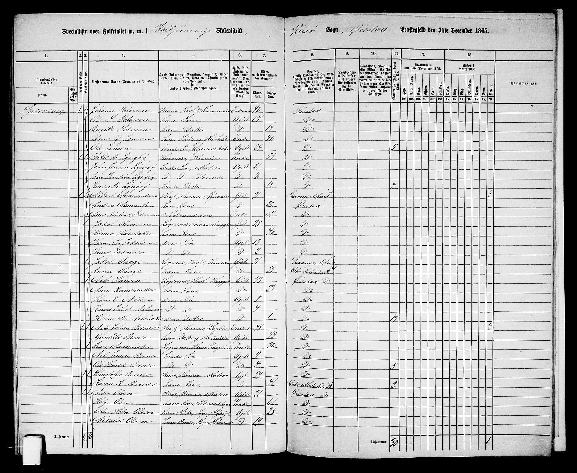 RA, 1865 census for Øyestad, 1865, p. 246