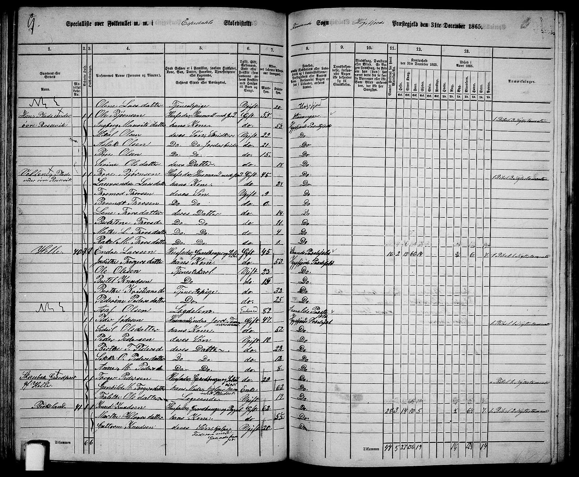 RA, 1865 census for Høgsfjord, 1865, p. 56