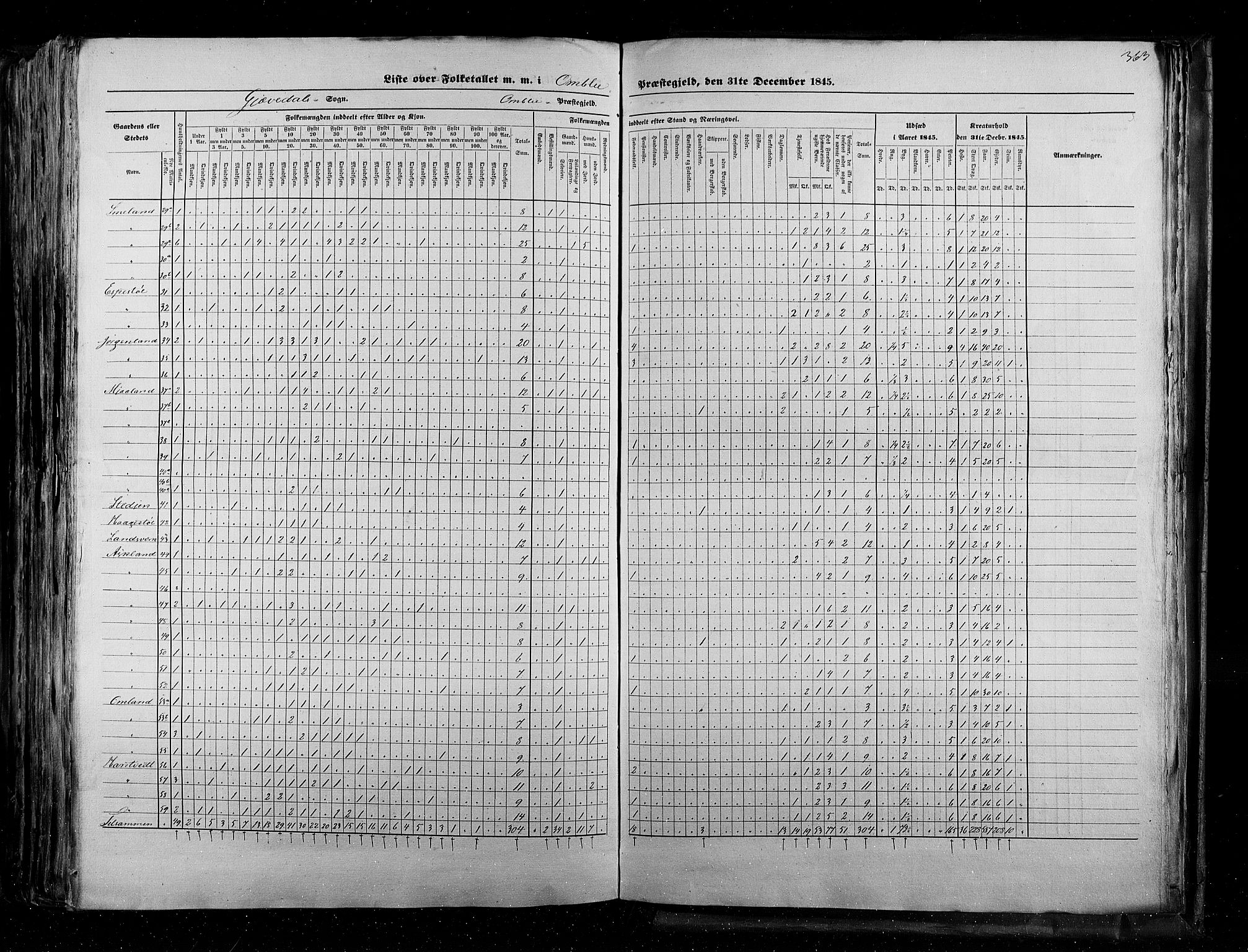 RA, Census 1845, vol. 5: Bratsberg amt og Nedenes og Råbyggelaget amt, 1845, p. 363