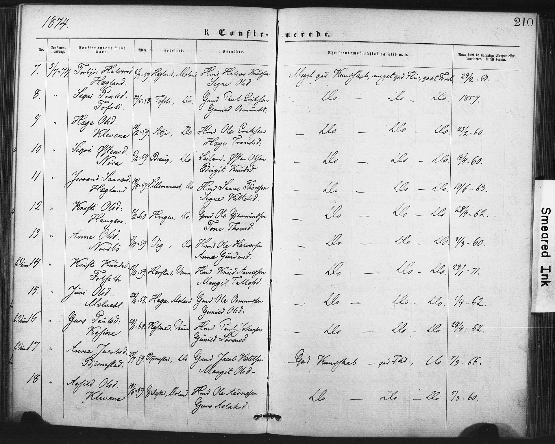 Fyresdal kirkebøker, SAKO/A-263/F/Fa/L0006: Parish register (official) no. I 6, 1872-1886, p. 210