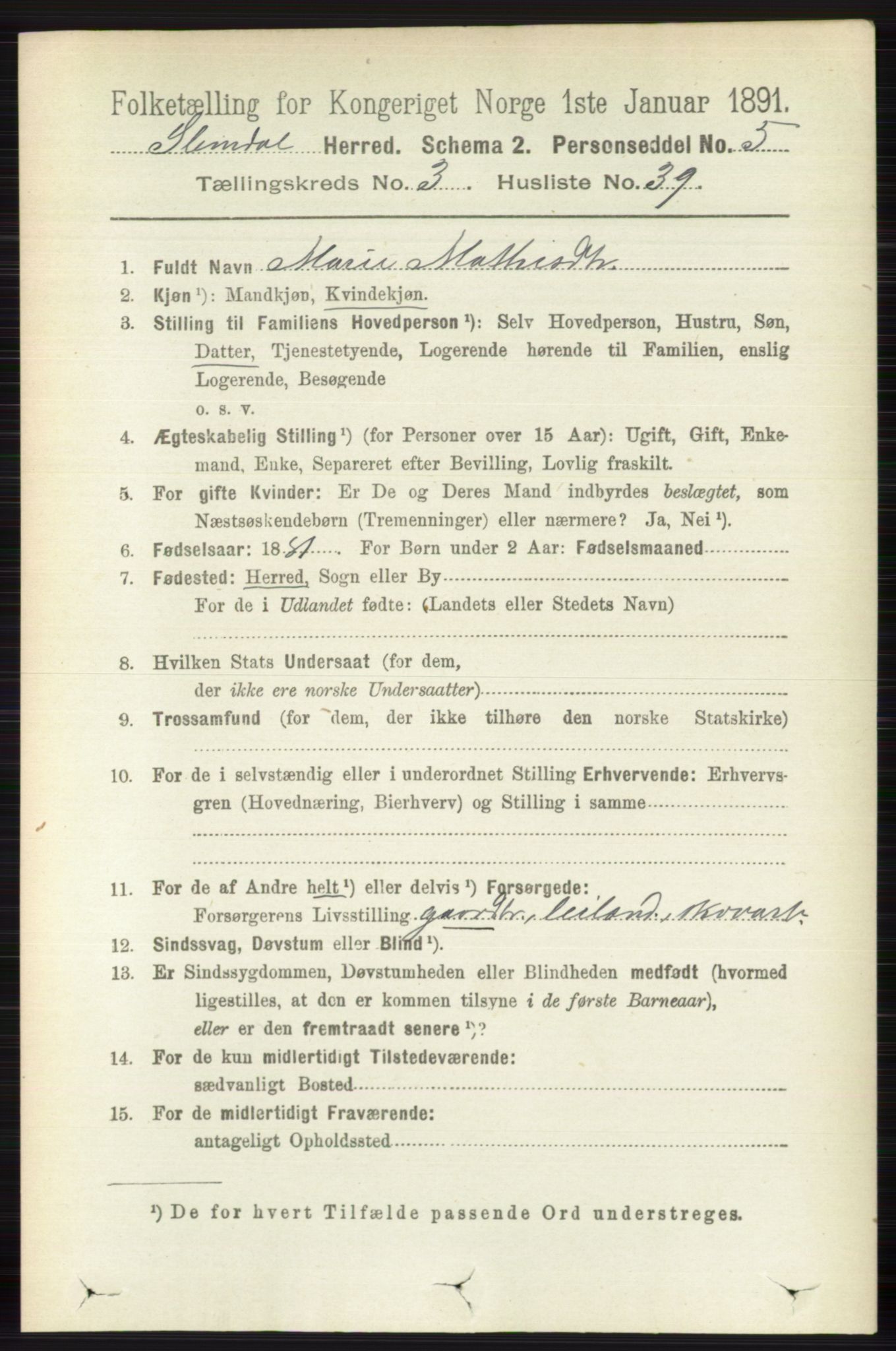 RA, 1891 census for 0811 Slemdal, 1891, p. 986