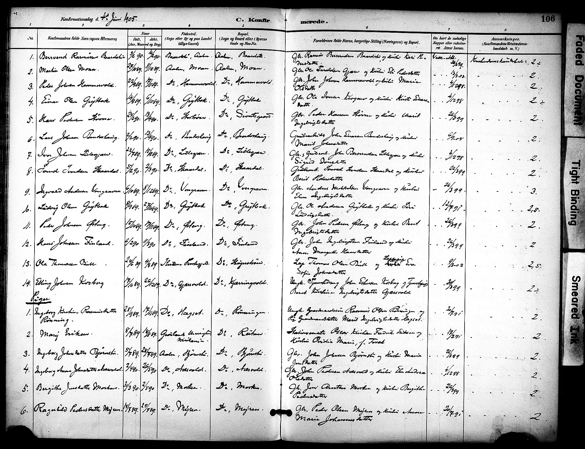 Ministerialprotokoller, klokkerbøker og fødselsregistre - Sør-Trøndelag, SAT/A-1456/686/L0984: Parish register (official) no. 686A02, 1891-1906, p. 106