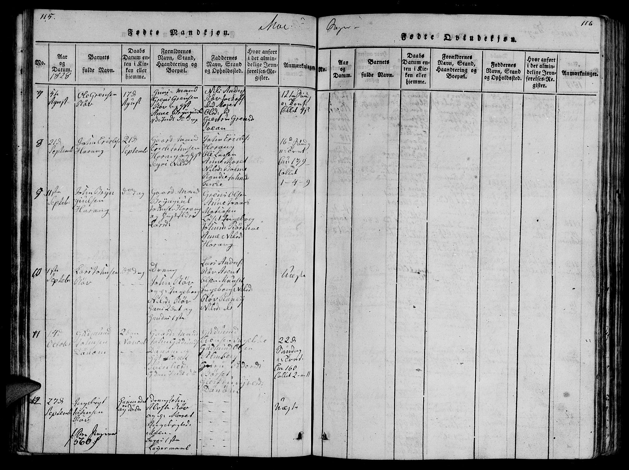 Ministerialprotokoller, klokkerbøker og fødselsregistre - Møre og Romsdal, AV/SAT-A-1454/595/L1050: Parish register (copy) no. 595C02, 1819-1834, p. 115-116