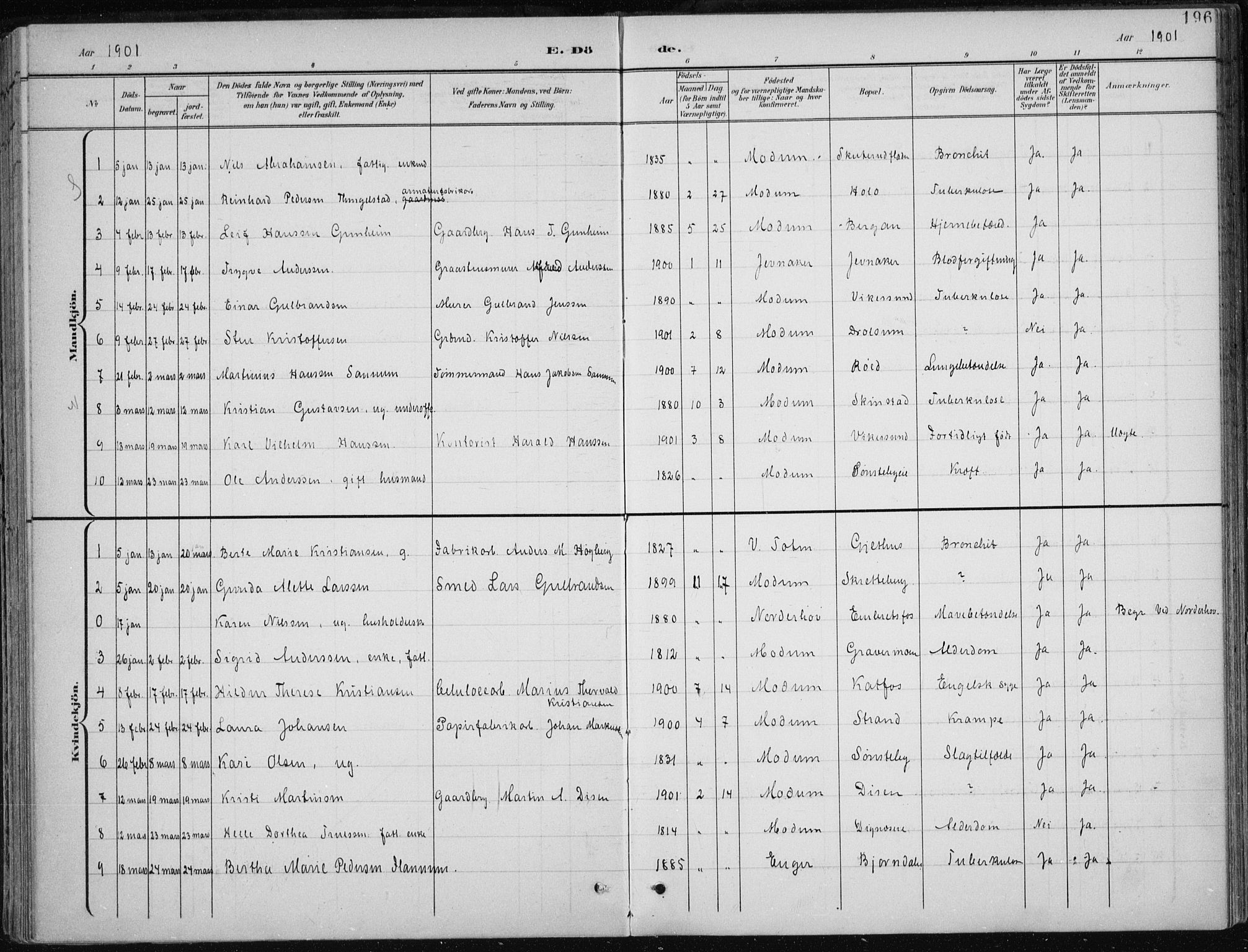 Modum kirkebøker, AV/SAKO-A-234/F/Fa/L0013: Parish register (official) no. 13, 1899-1907, p. 196