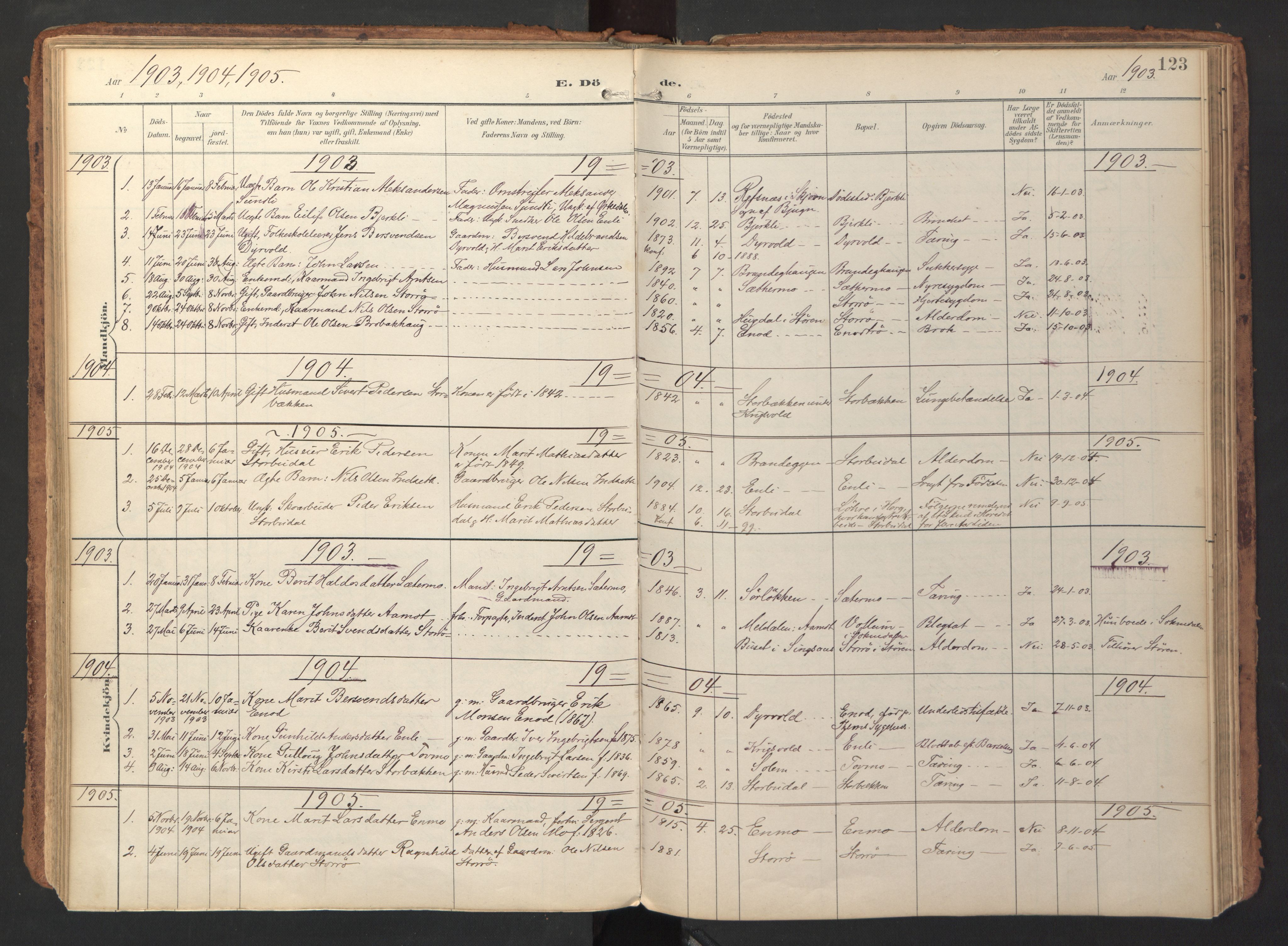 Ministerialprotokoller, klokkerbøker og fødselsregistre - Sør-Trøndelag, SAT/A-1456/690/L1050: Parish register (official) no. 690A01, 1889-1929, p. 123