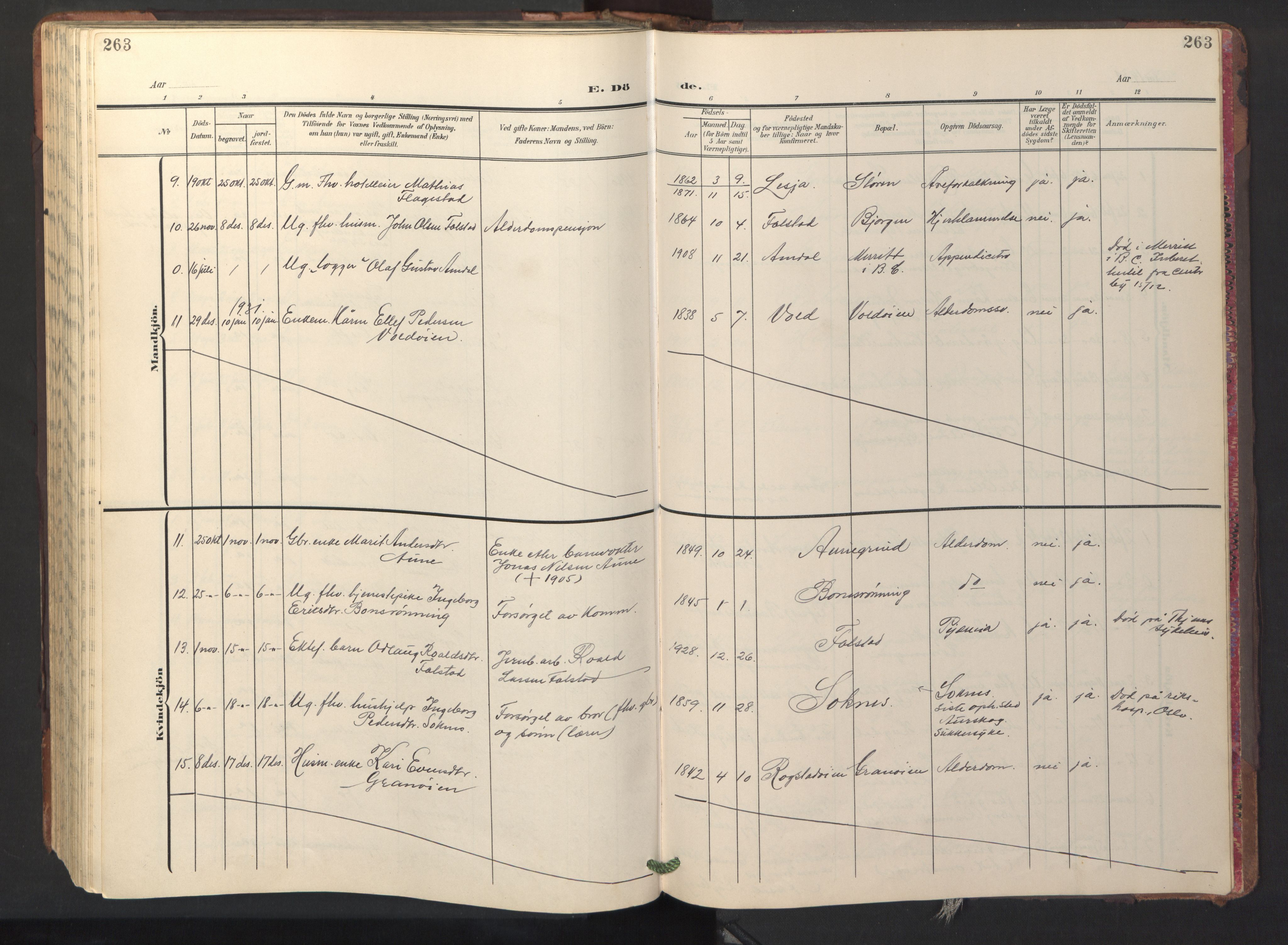 Ministerialprotokoller, klokkerbøker og fødselsregistre - Sør-Trøndelag, SAT/A-1456/687/L1019: Parish register (copy) no. 687C03, 1904-1931, p. 263