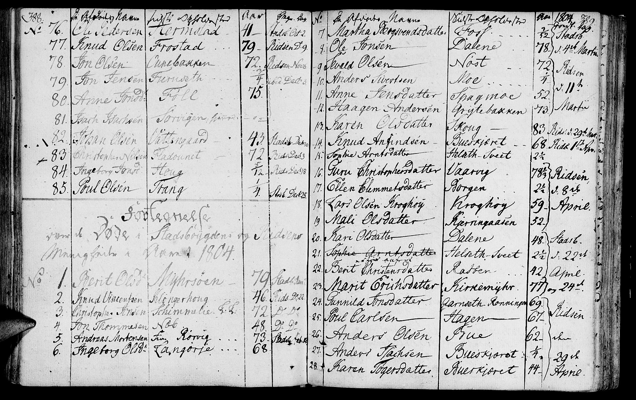 Ministerialprotokoller, klokkerbøker og fødselsregistre - Sør-Trøndelag, SAT/A-1456/646/L0606: Parish register (official) no. 646A04, 1791-1805, p. 388-389
