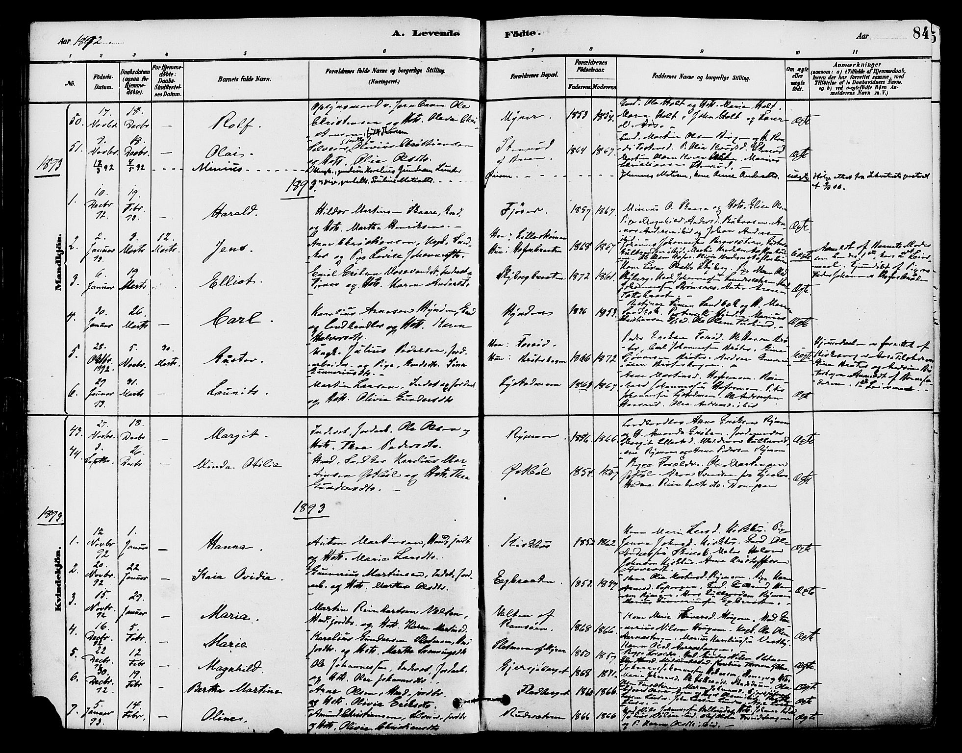 Brandval prestekontor, SAH/PREST-034/H/Ha/Haa/L0002: Parish register (official) no. 2, 1880-1894, p. 84